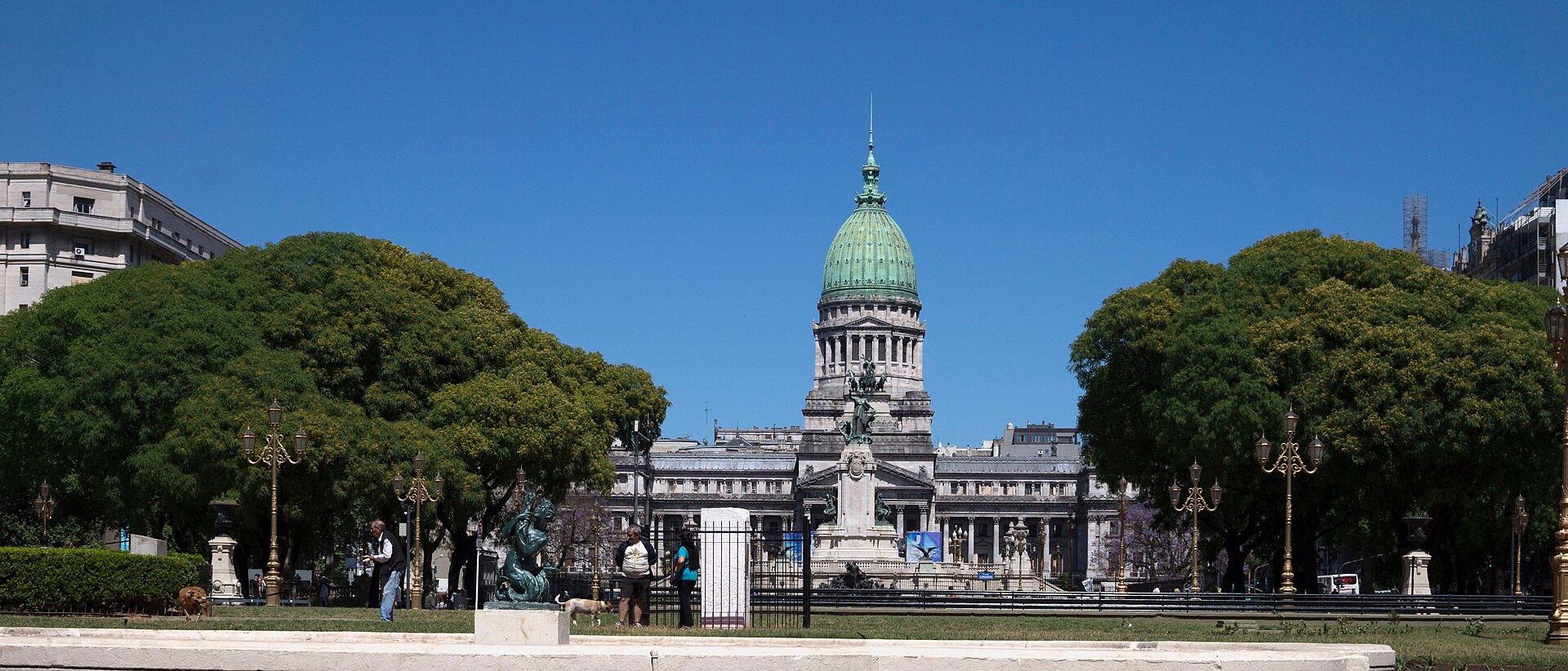 The green dome of the Argentine National Congress building in Buenos Aires seen between two large trees under a clear blue sky