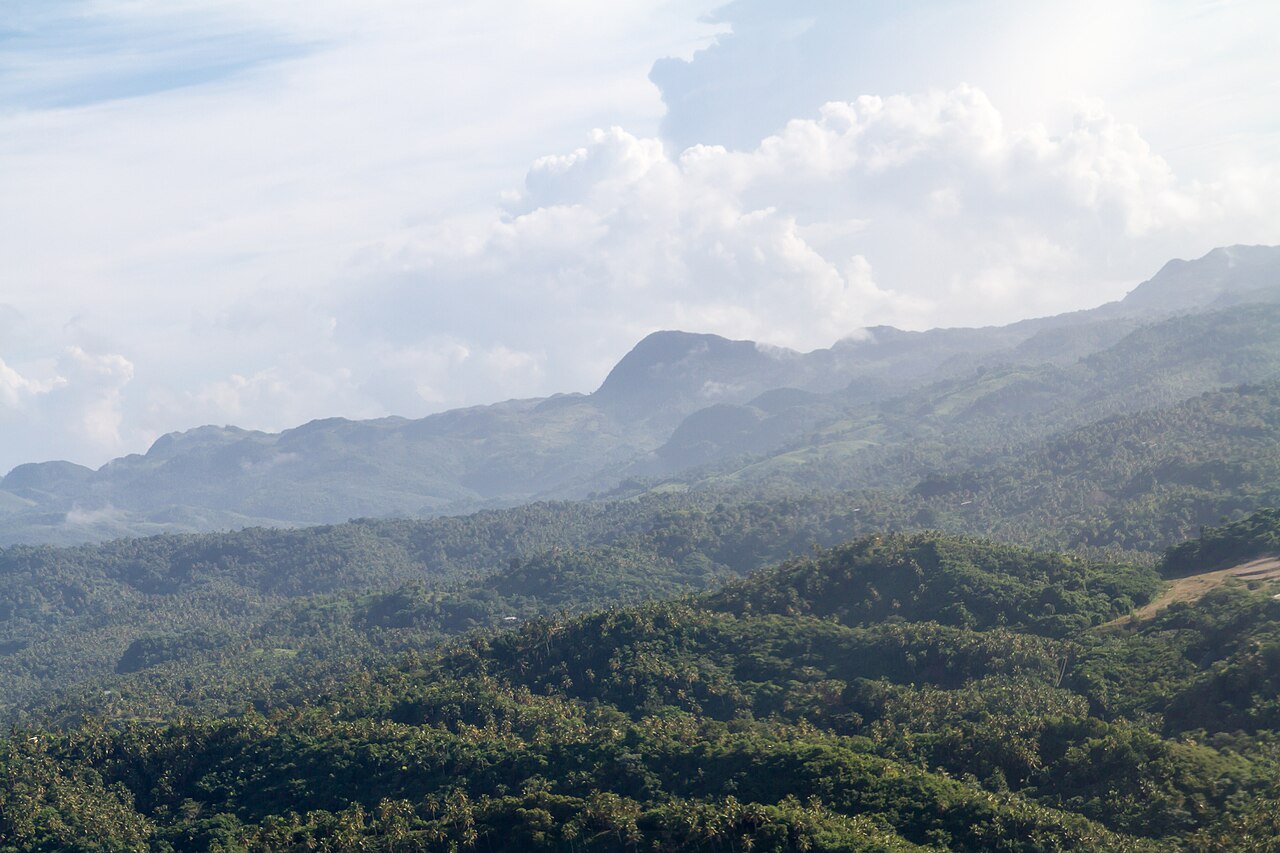Green hills dotted with palm trees under a cloudy sky on the north-east coast of the Dominican Republic
