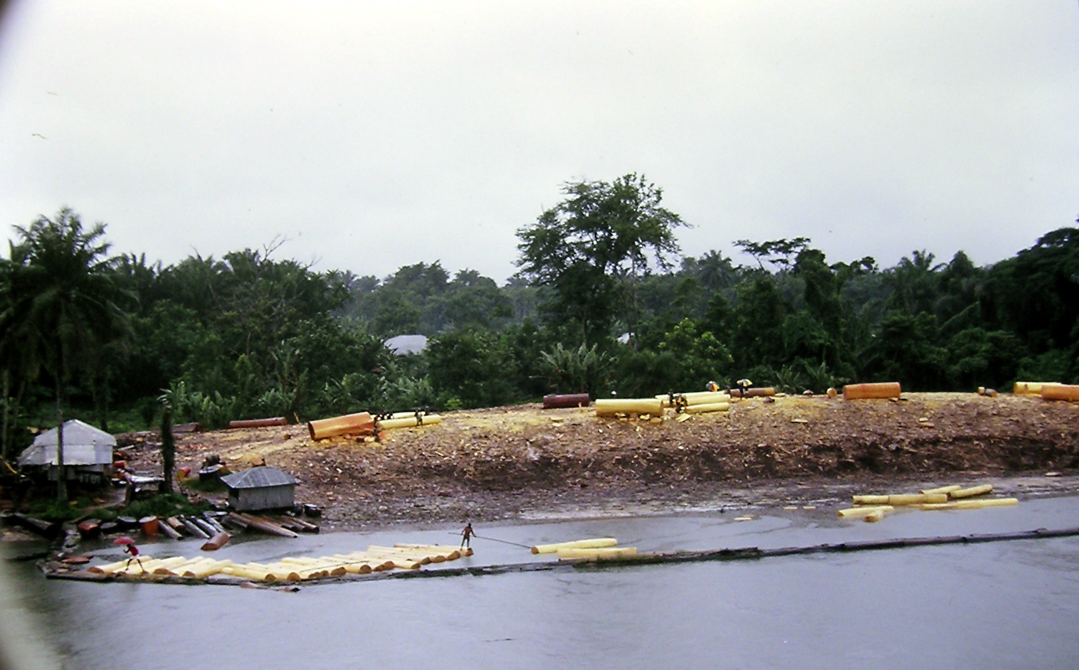 Timber floated on a river in the Niger Delta