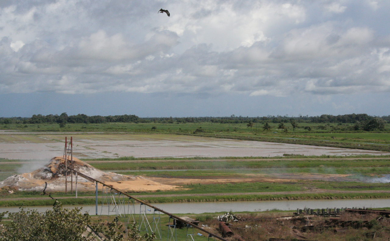 Flooded rice fields and a mill conveyor under a cloudy sky near Wageningen in Suriname’s Nickerie district