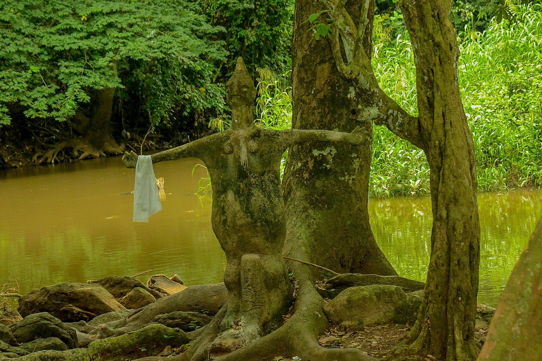 River Osun flowing through the Osun-Osogbo Sacred Grove in Osun State, Nigeria
