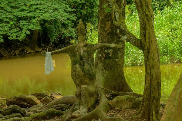 River Osun flowing through the Osun-Osogbo Sacred Grove in Osun State, Nigeria