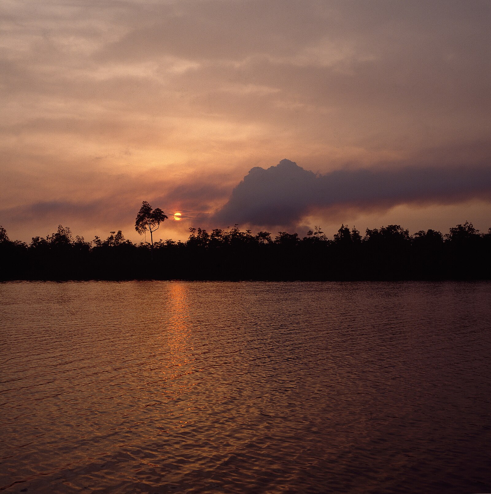 Smoke from a gas flare over Nembe Creek in the Niger Delta, the environmental cost of Nigeria resources