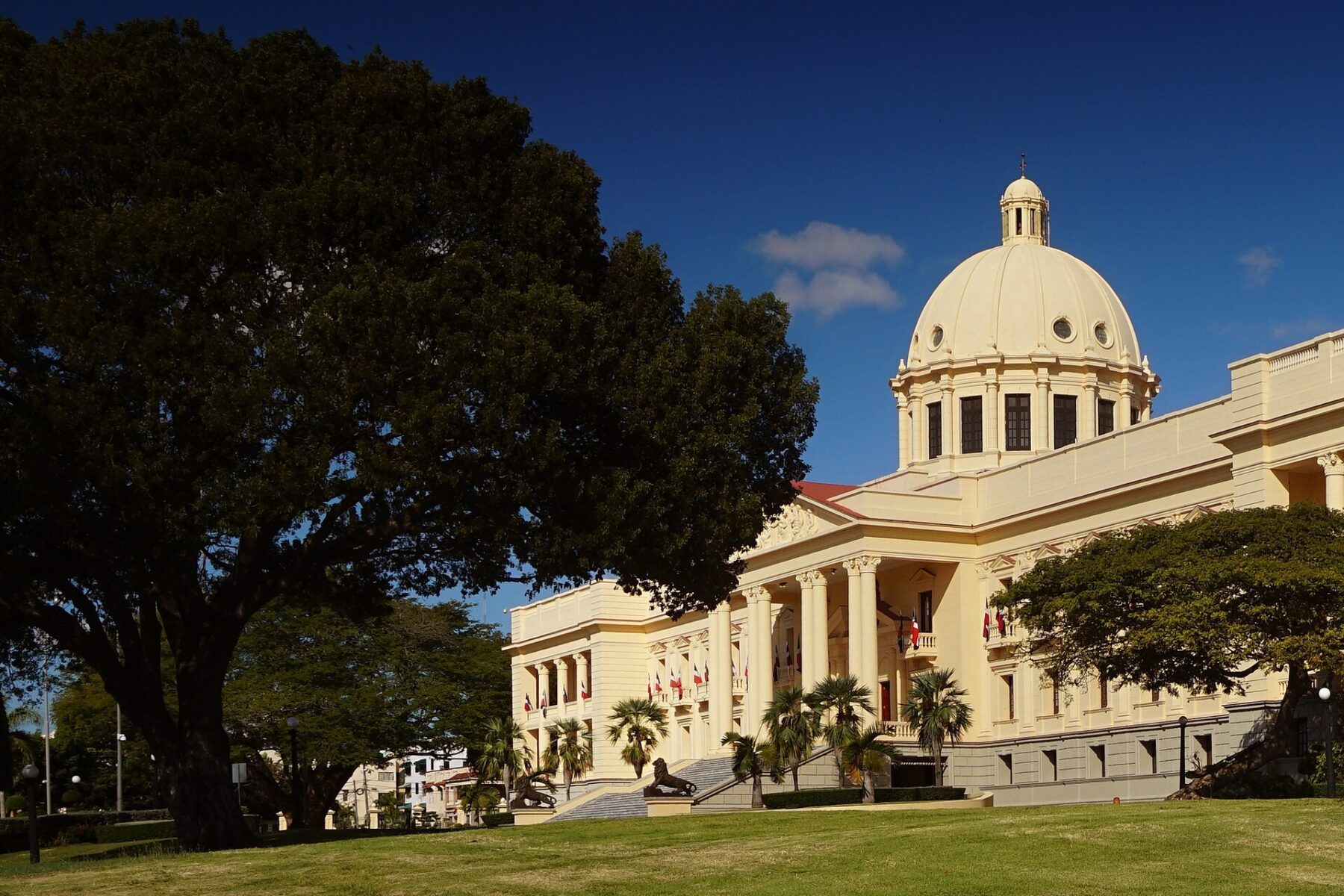 The cream-coloured domed National Palace in Santo Domingo with columns, palm trees, a large shade tree and a lawn under a deep blue sky
