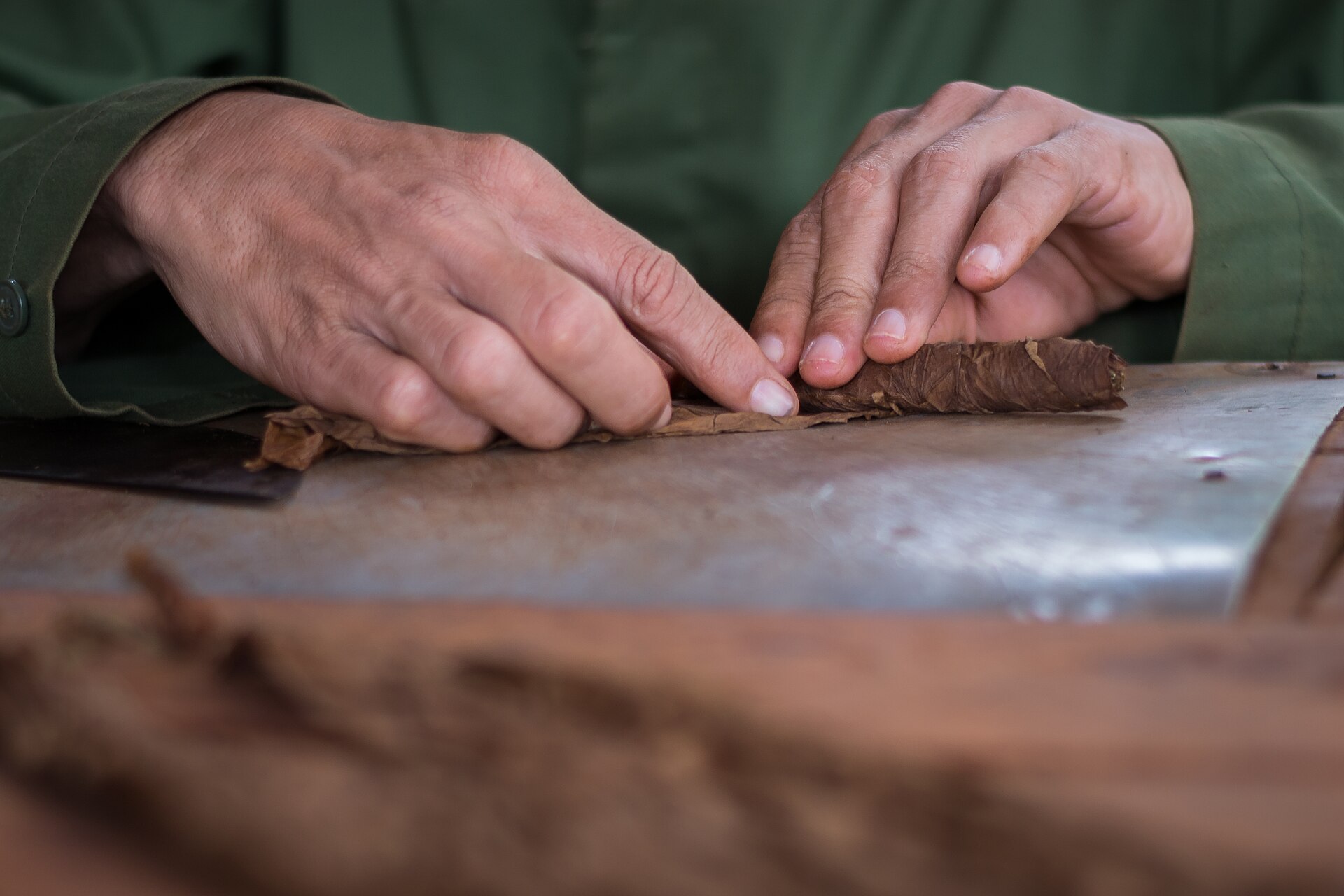 Close view of a man's hands in a green shirt rolling a tobacco leaf into a cigar on a worn metal work surface