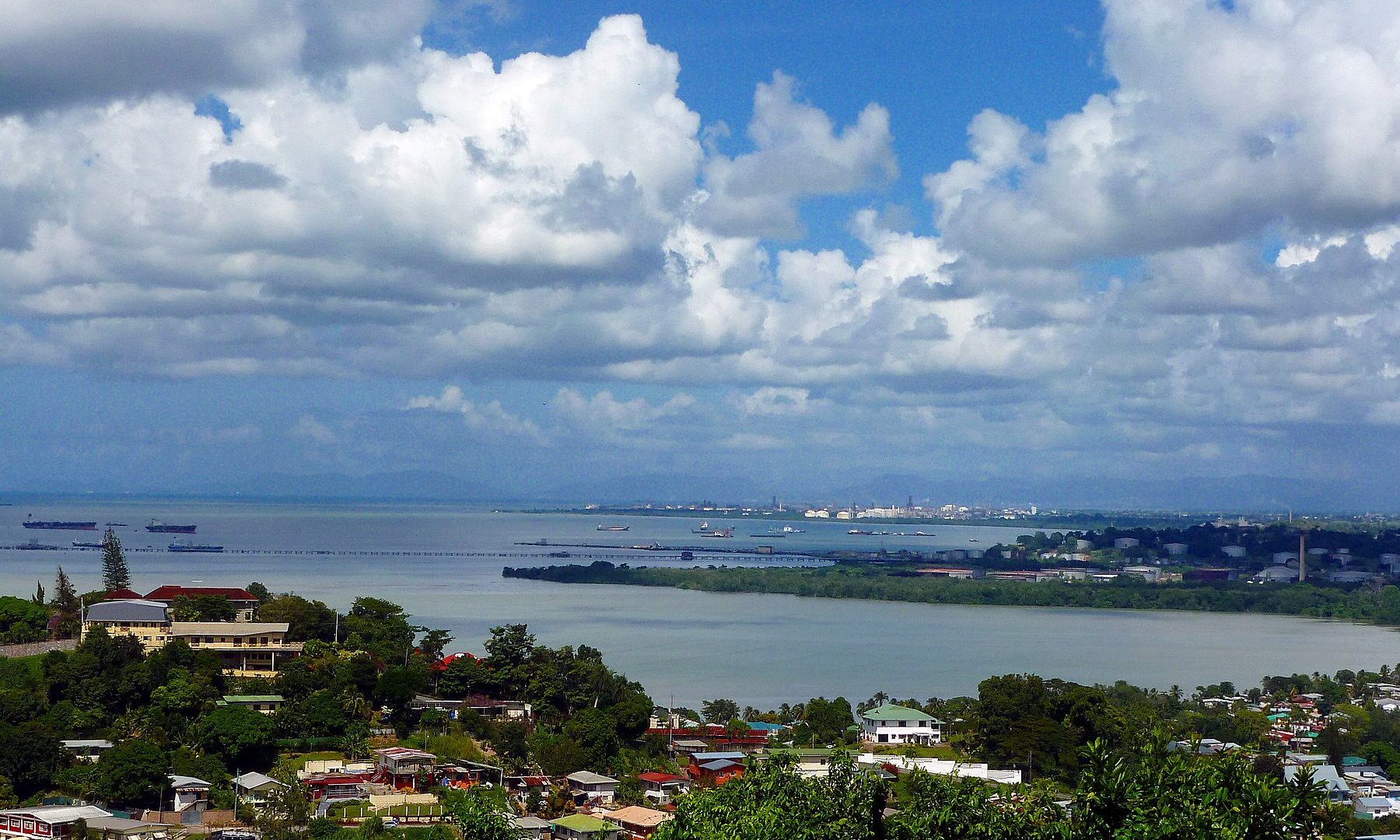 A wide bay with ships on calm water and a distant shoreline under a cloudy sky, with houses and trees in the foreground