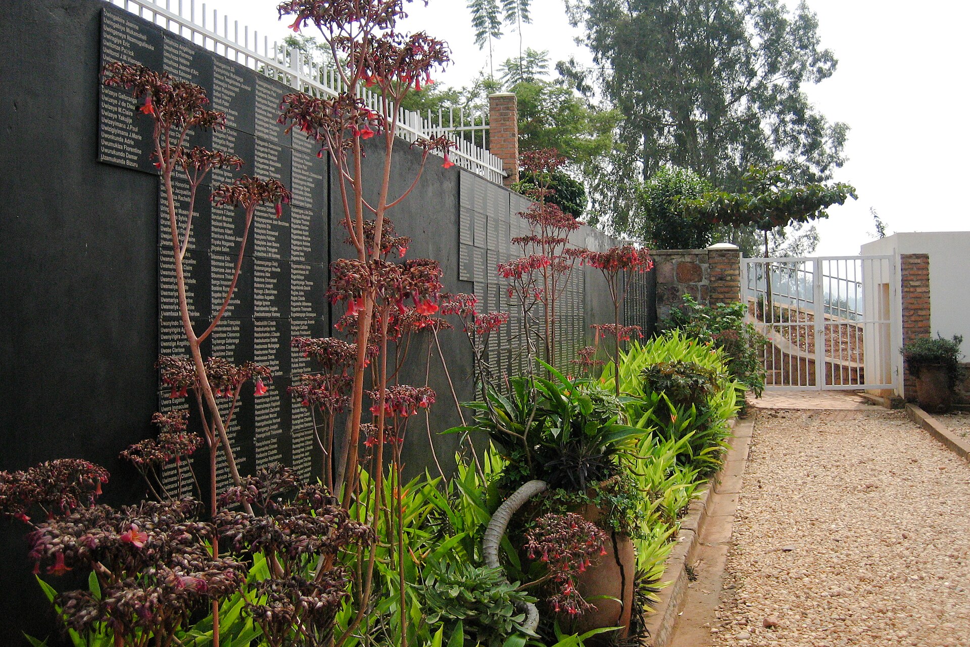 Garden wall of dark panels carrying names of the dead beside a gravel path with flowering plants, Kigali Memorial Centre