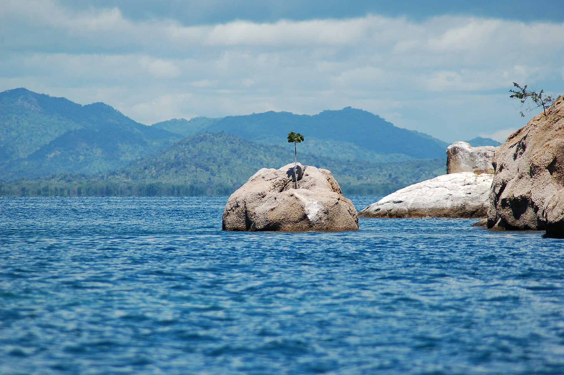 Granite rocks and a small tree rising from blue lake water with forested hills behind, Cape Maclear, Lake Malawi