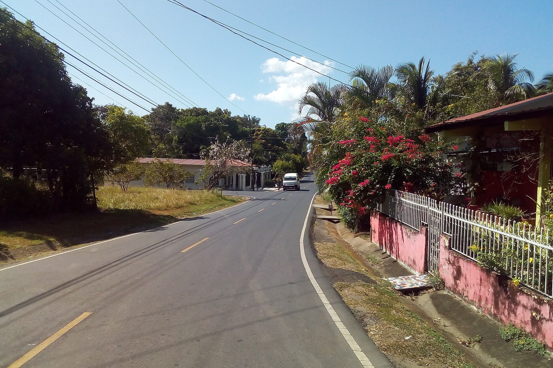 A paved road lined with palms and pink bougainvillea runs through the town of San Francisco de la Montaña in Veraguas, Panama, under a blue sky