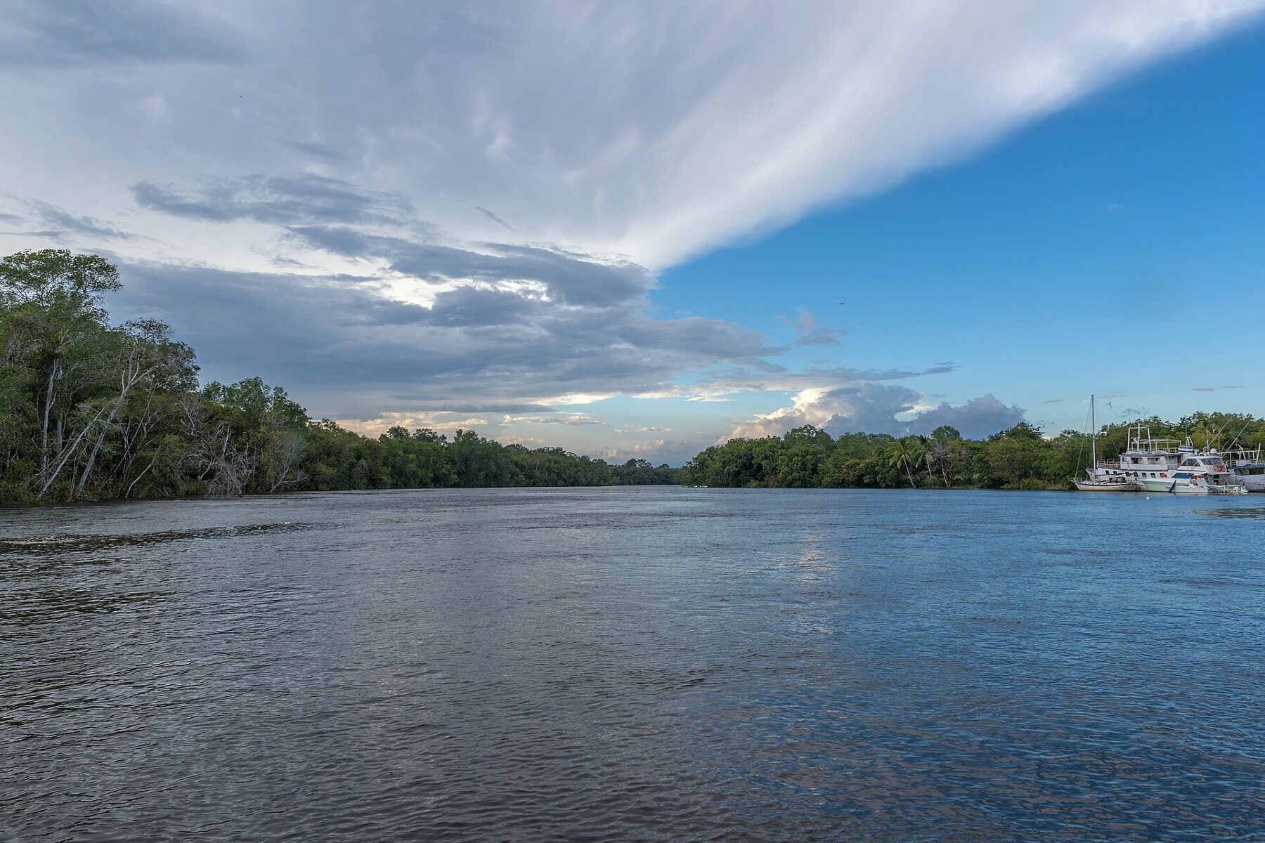 The Chiriquí River shortly before it reaches the Gulf of Chiriquí on Panama's Pacific coast, with mangrove-lined banks and moored boats