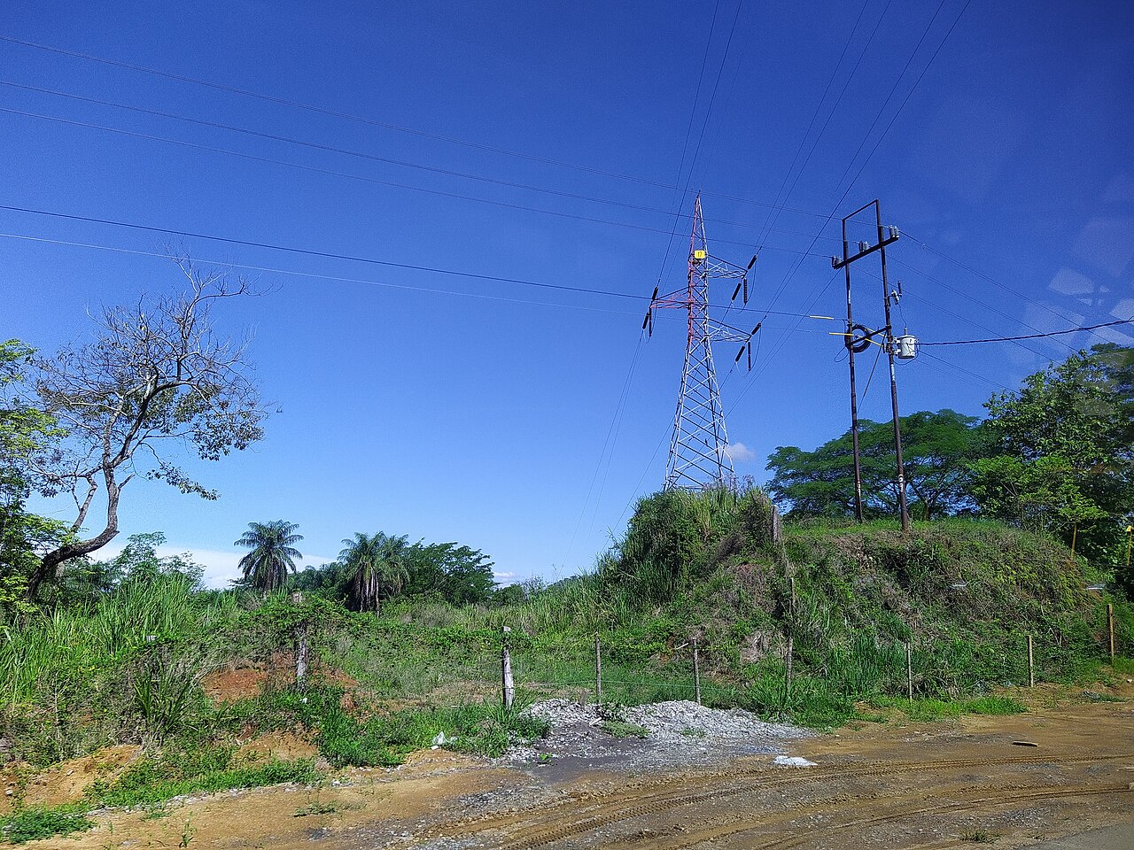 A red and white steel transmission tower and a wooden distribution pole carrying power lines over green scrubland under a blue sky