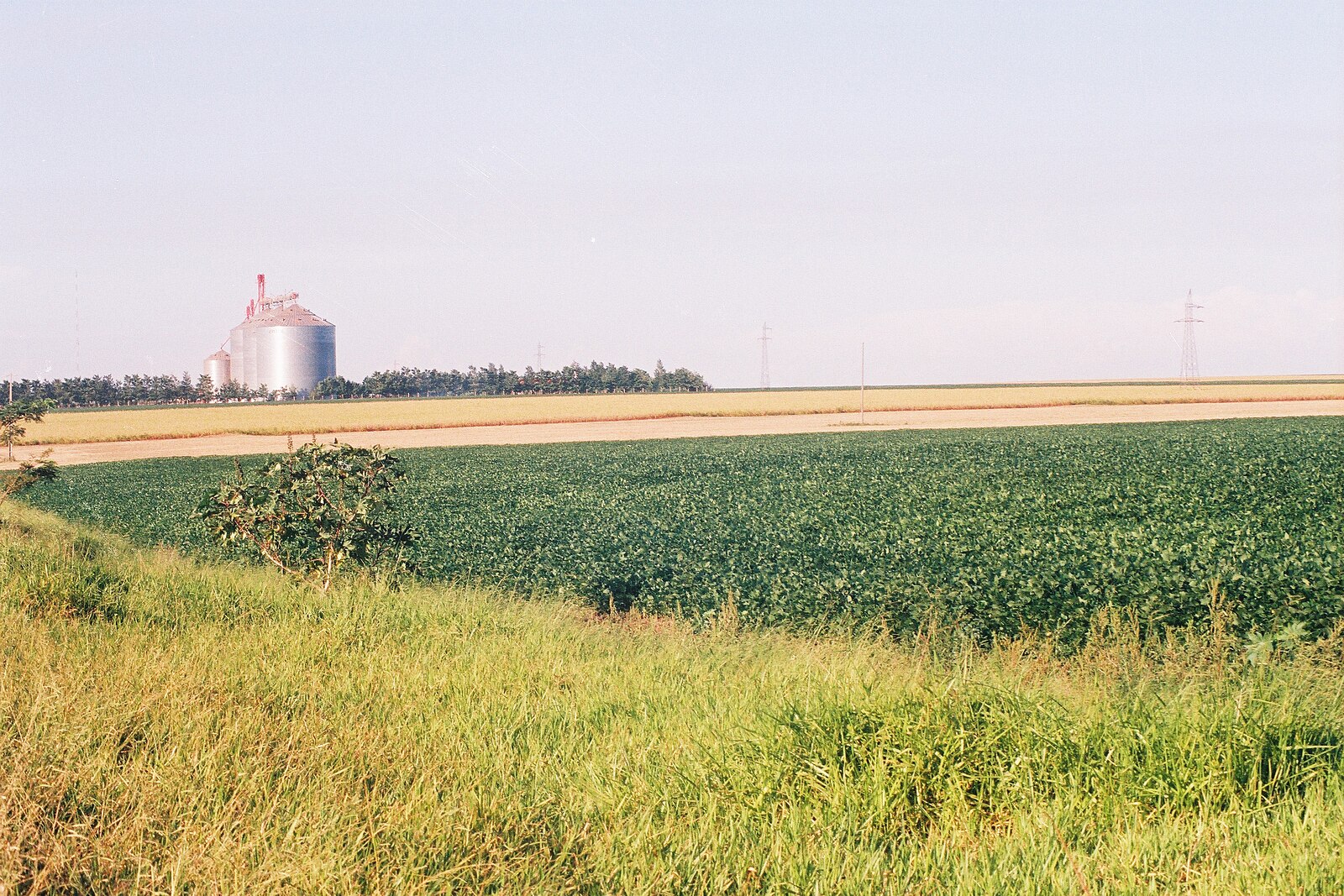 Soybean field and grain silos in Paraguay, the biggest export crop of the Paraguay economy