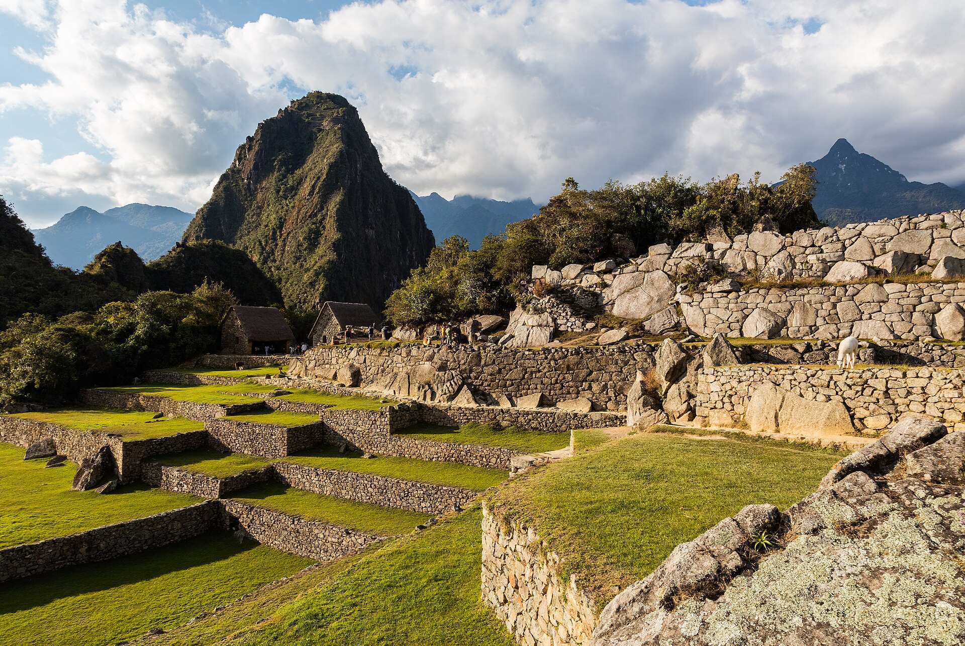 Stone terraces of Machu Picchu beneath Huayna Picchu, Peru
