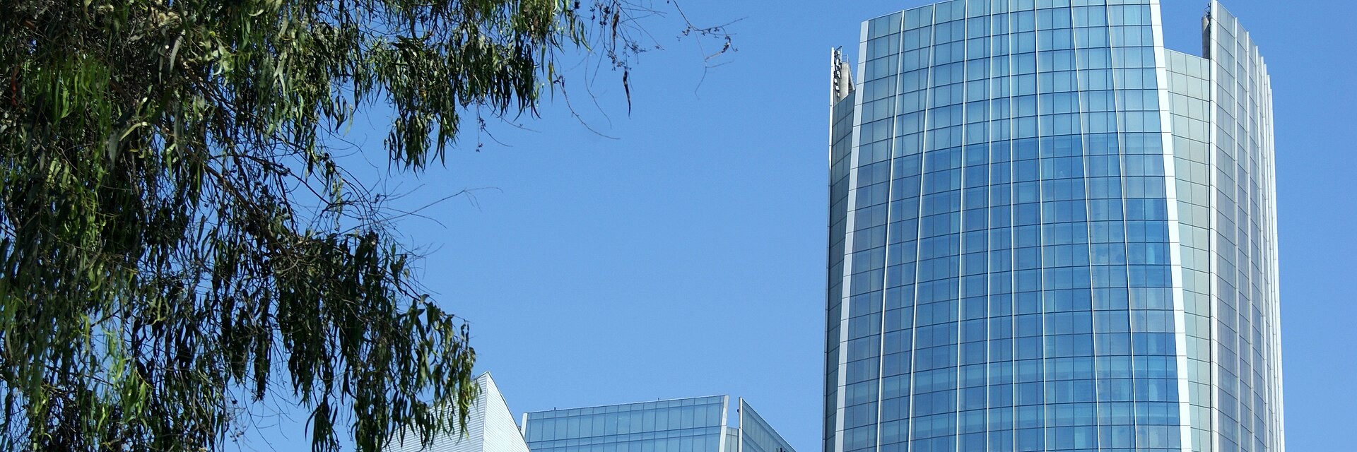 Glass office tower in Lima, Peru, seen through tree branches