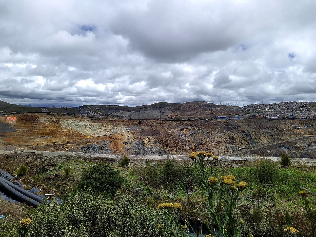 Terraced open-pit mine with brown and grey rock walls under heavy clouds, with houses of Cerro de Pasco on the hill at right and wild yellow flowers in front