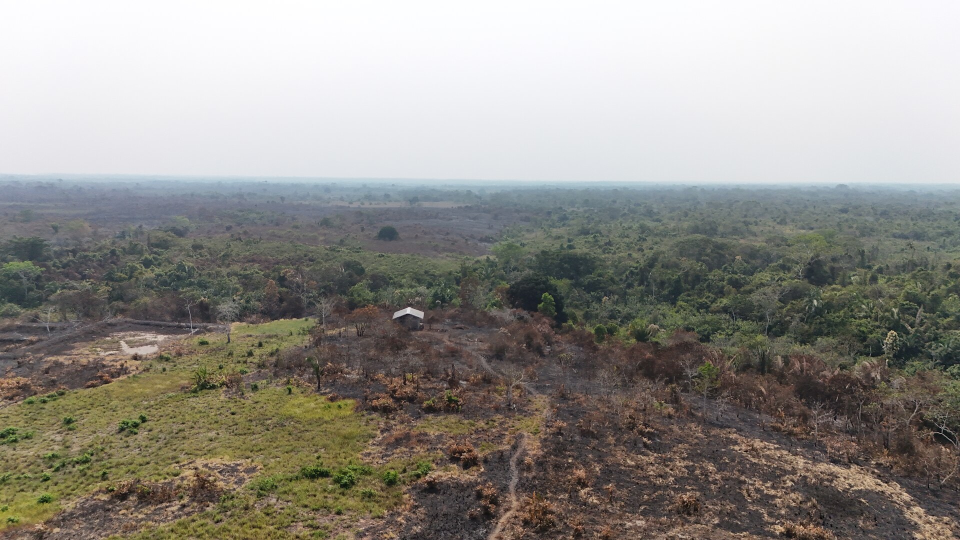 Smoke-hazed burned clearing with a small hut and green forest beyond near Yarinacocha in Ucayali, Peru, a file photo of Peru wildfires in September 2024