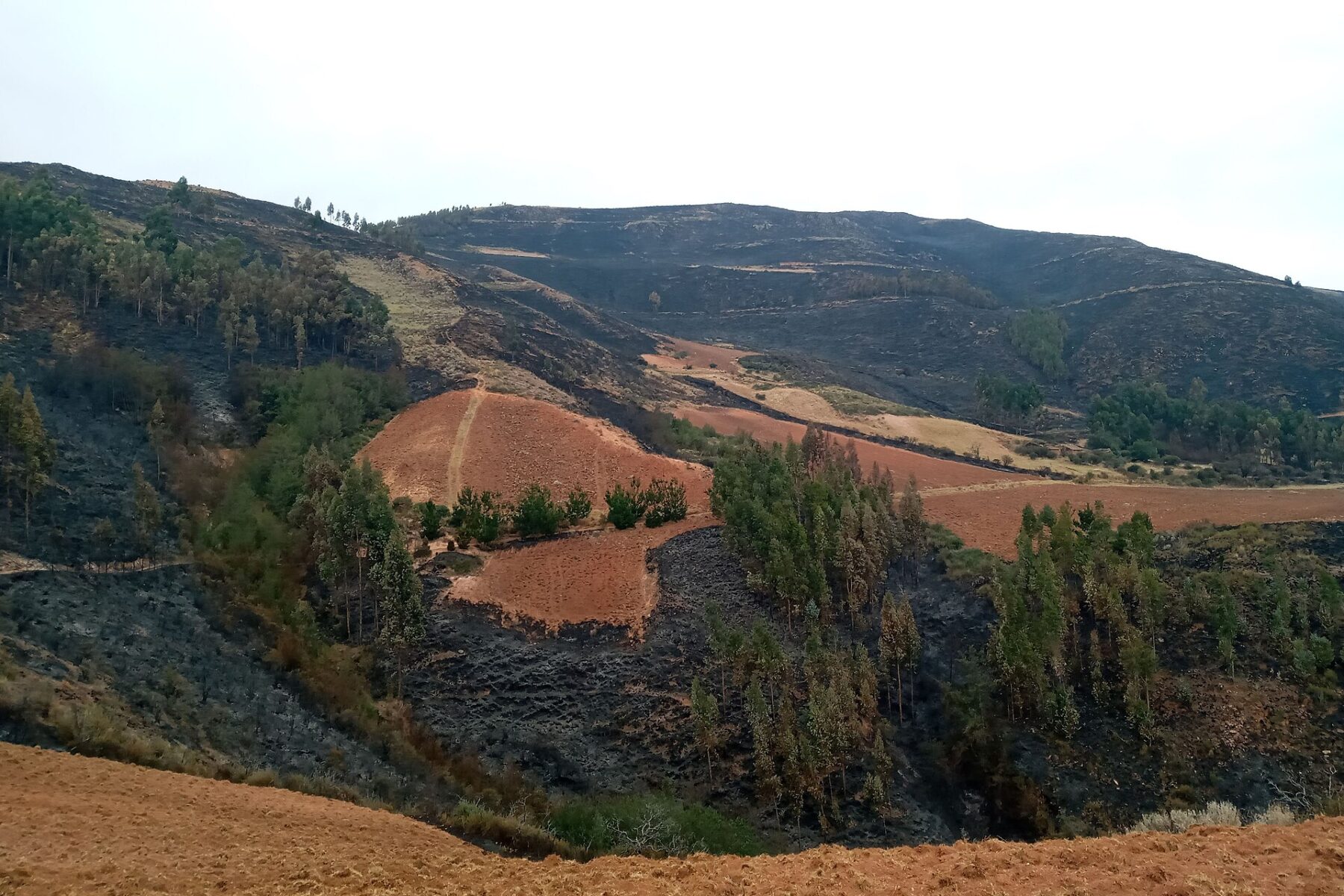 Andean hillsides blackened by a forest fire in Chiara, Ayacucho, Peru