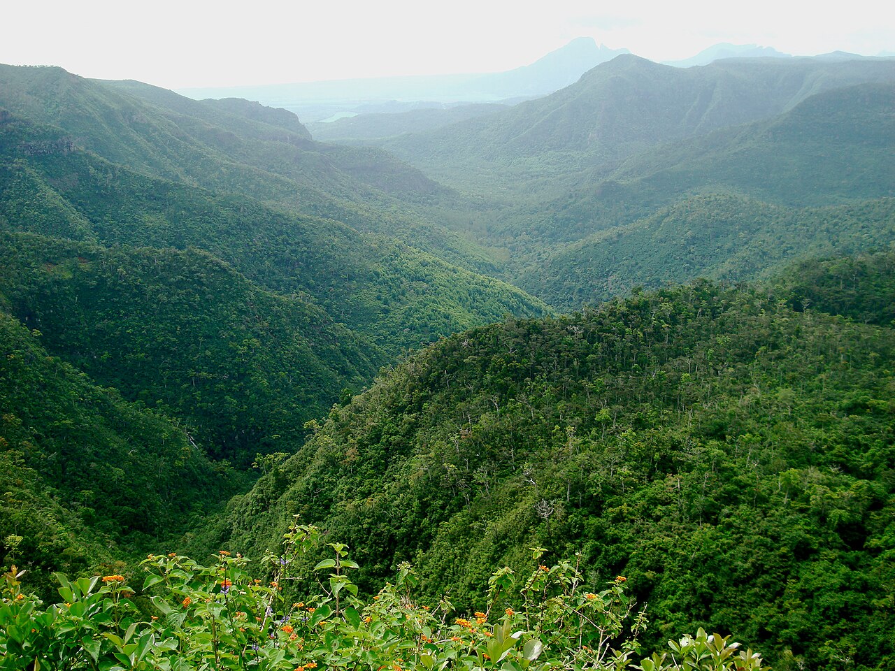 Green forested valleys of the Black River Gorges National Park in Mauritius under a hazy sky.