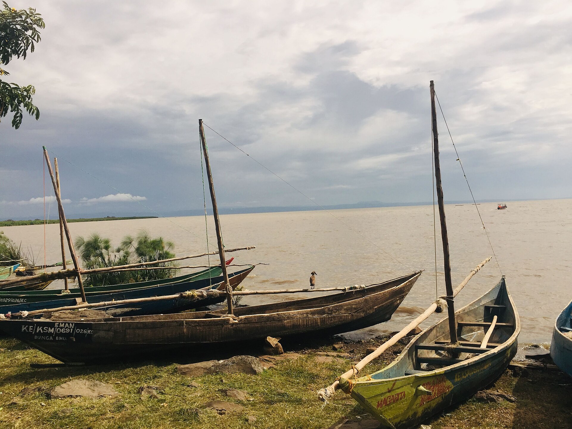 Wooden fishing boats with tall masts lie on a grassy shore beside the brown waters of Lake Victoria under a grey cloudy sky