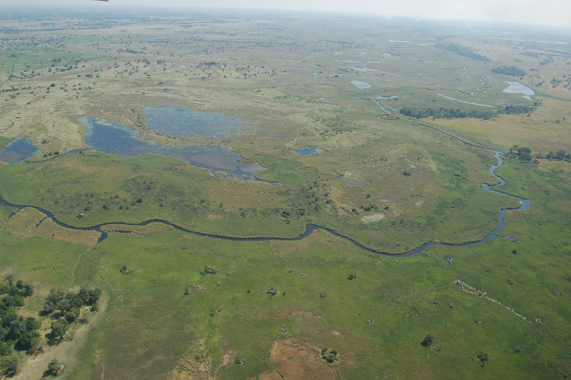 Aerial view of a winding river channel through green grassy floodplains with scattered trees and shallow pools of water