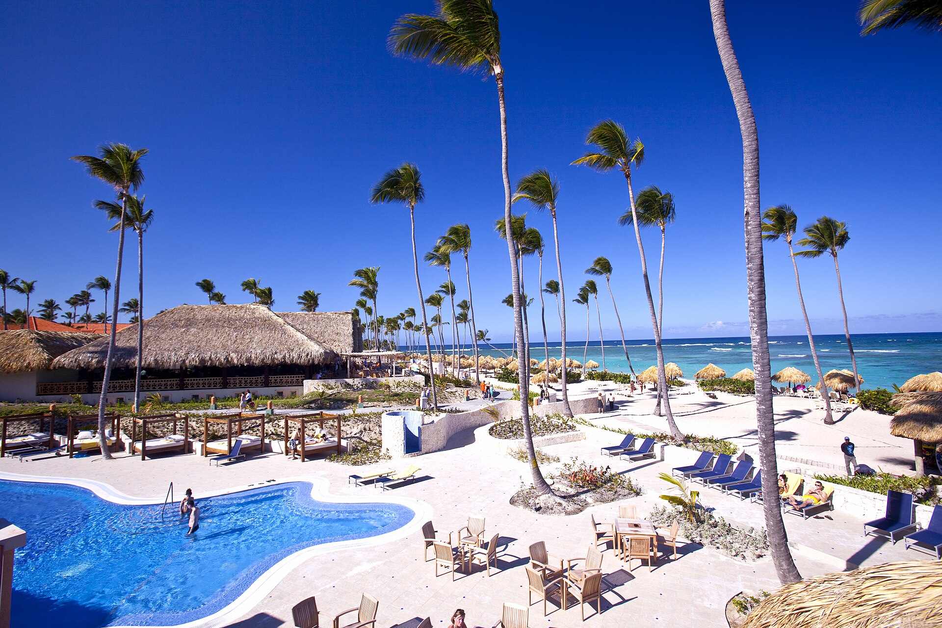 A curved resort swimming pool, sun loungers and tall palm trees in front of thatched-roof buildings and a turquoise sea under a deep blue sky