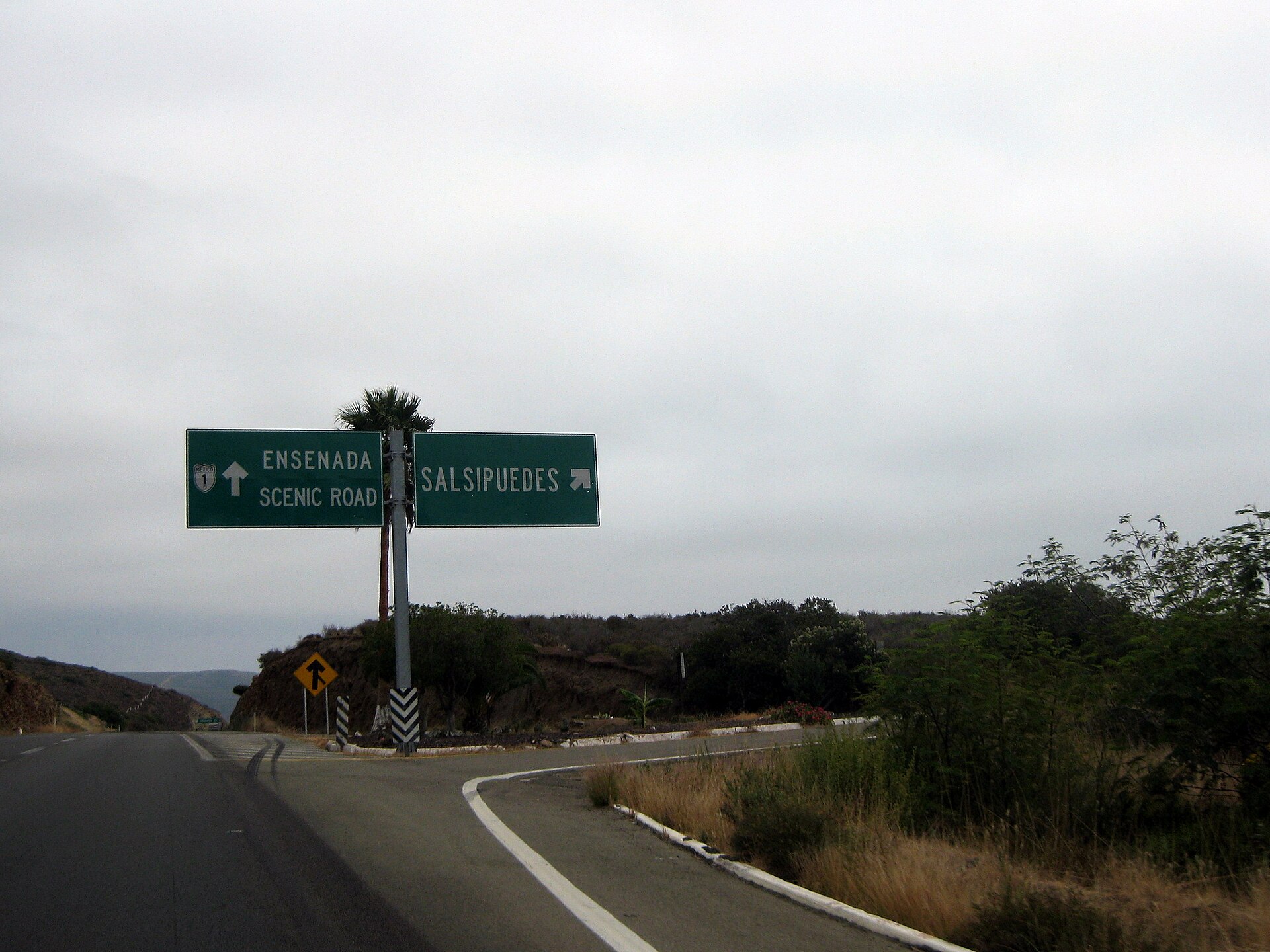 Green highway signs reading Ensenada Scenic Road and Salsipuedes beside a palm tree on a two-lane road under a grey sky