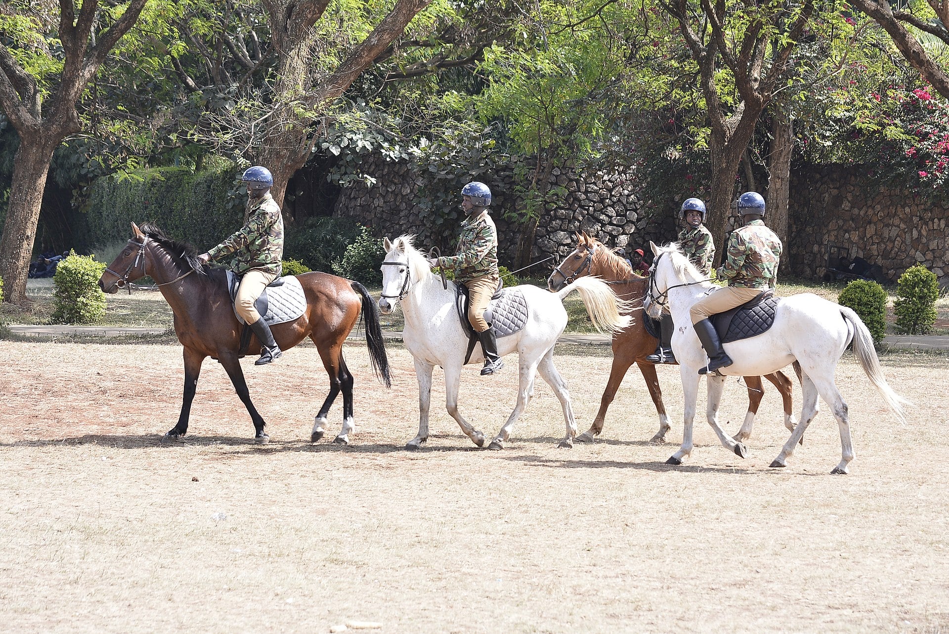 Four uniformed police officers in blue helmets ride horses across a dusty open ground beside trees and a stone wall