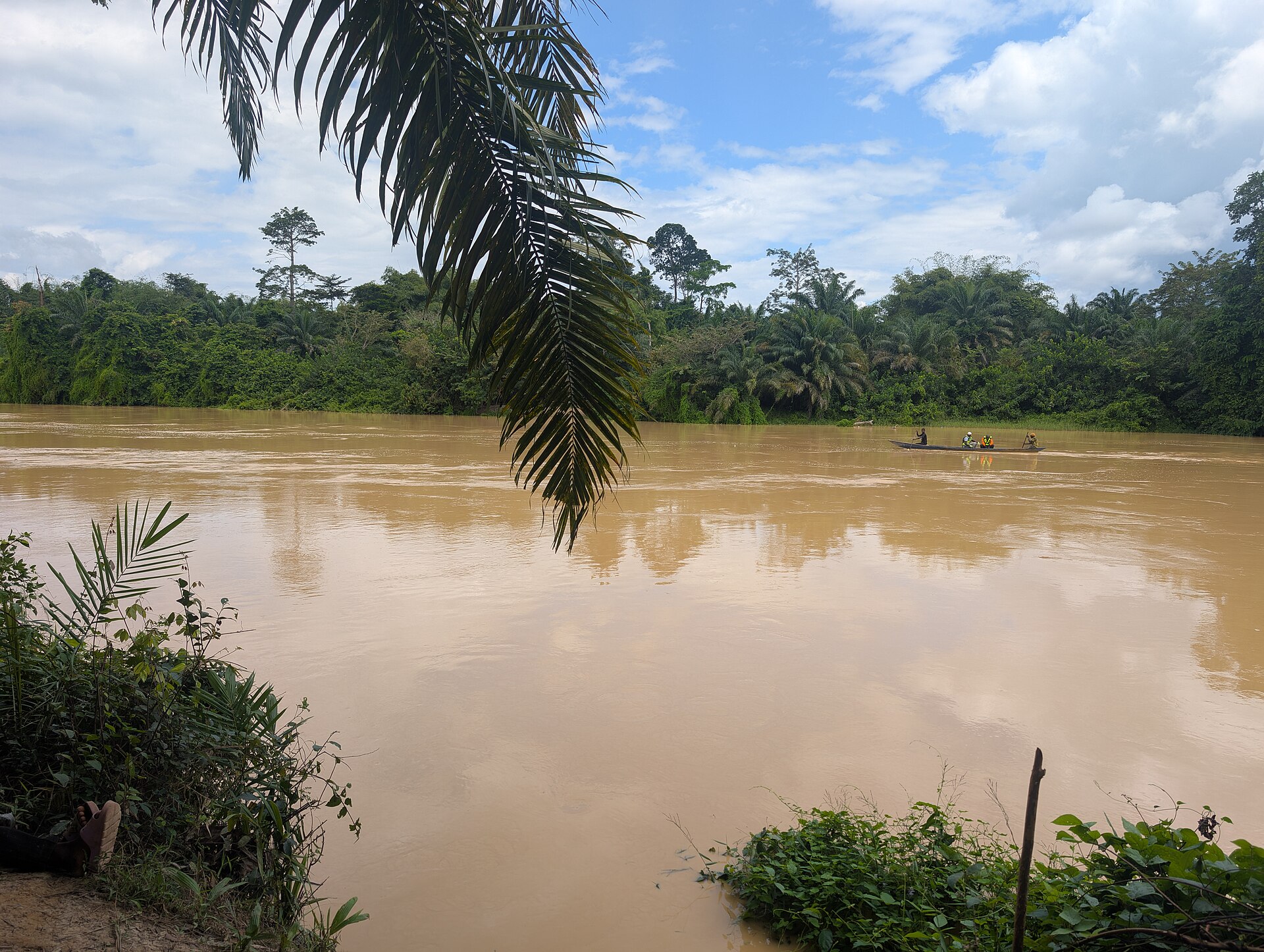 A wide brown river flows between banks of dense green forest and oil palms, with a long canoe carrying several people in the distance and a palm frond in the foreground