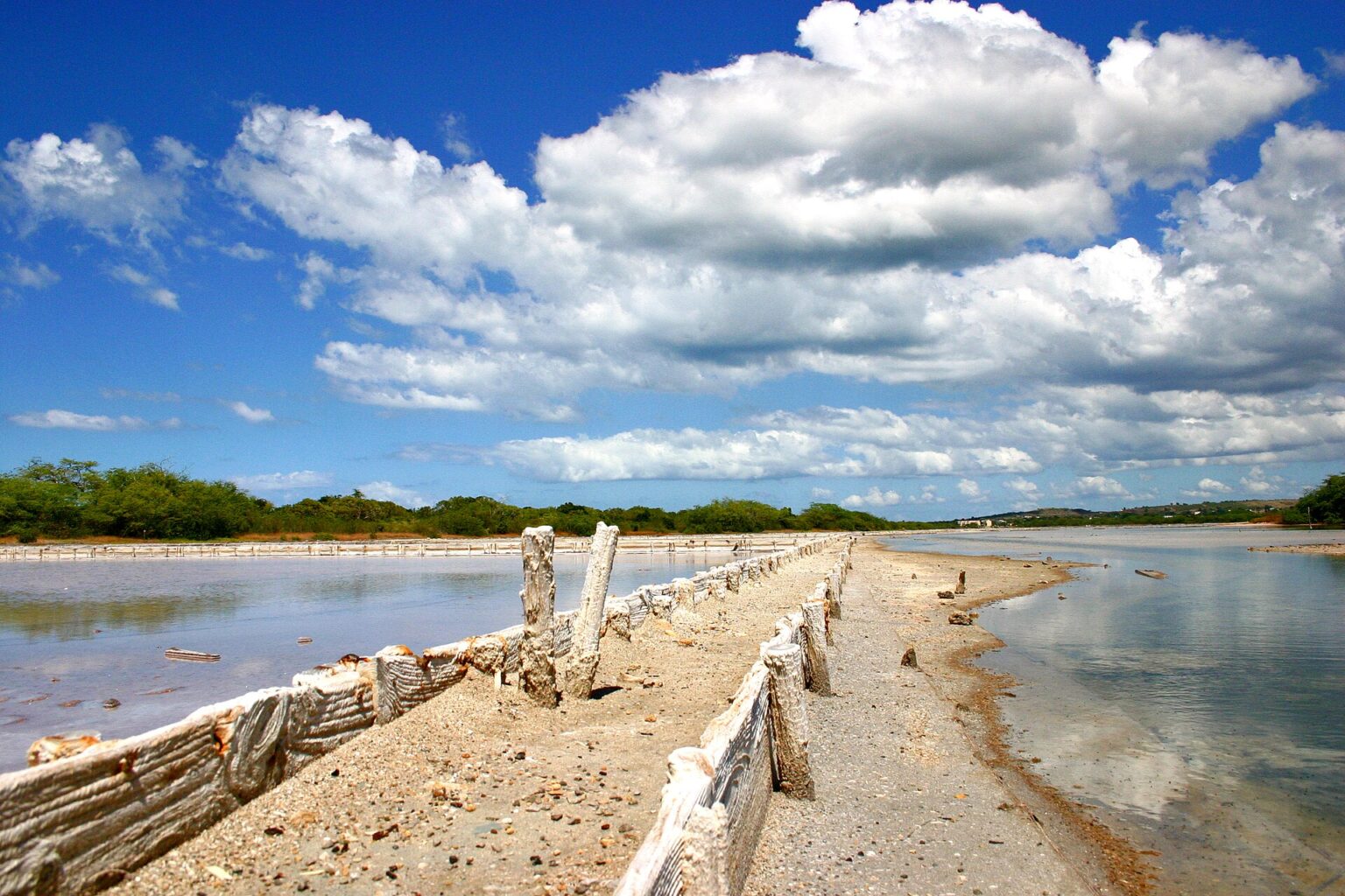 Quarantine Map Puerto Rico Bird Flu Quarantine: What It Means | The Rio Times