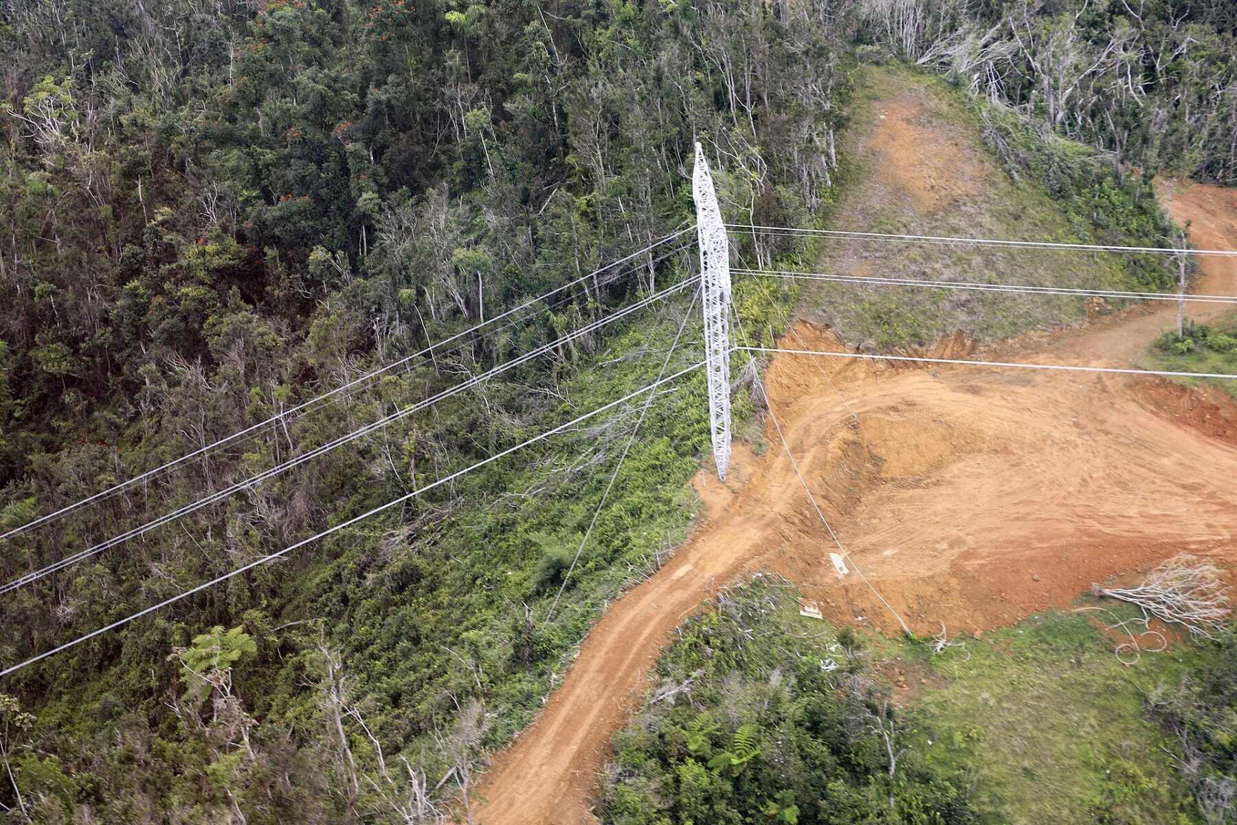 Foreign Powers and Investors in Puerto Rico 2026 | The Rio Times