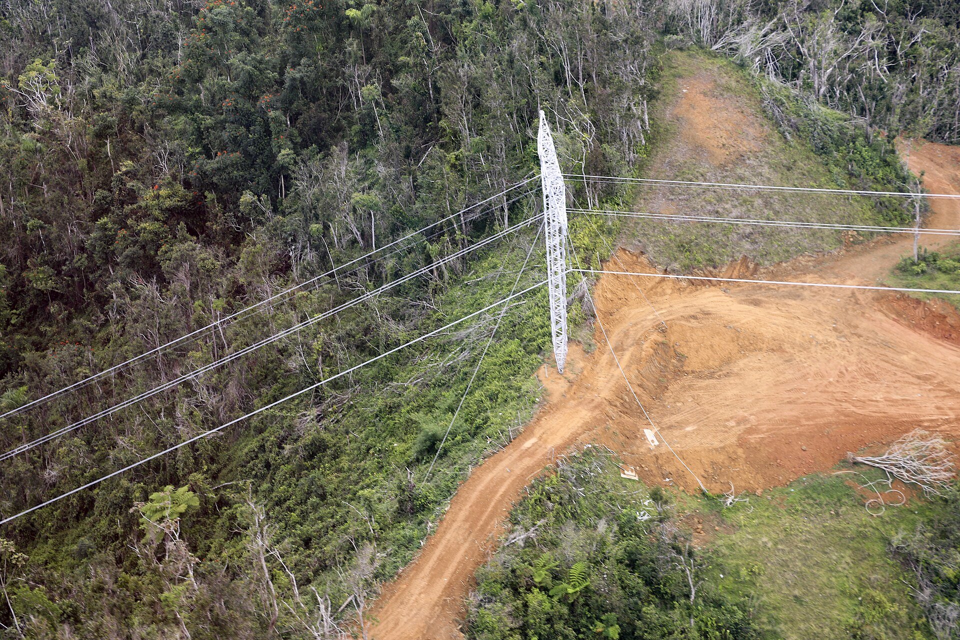 Aerial view of a steel transmission tower and power lines crossing storm-damaged forested hills in Puerto Rico
