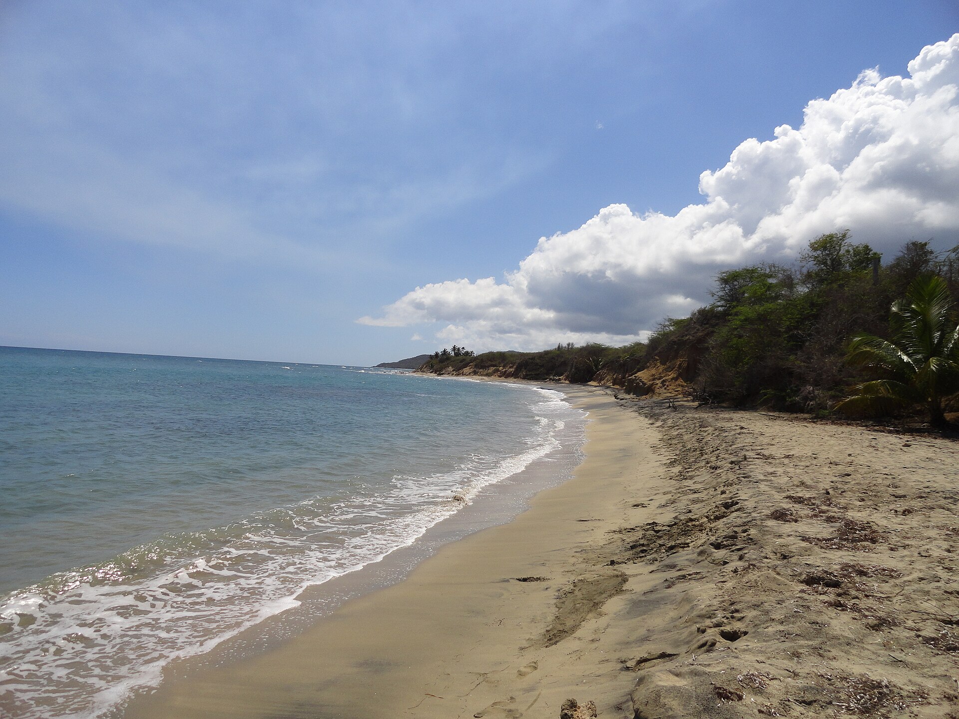 Shoreline at Playa Negra on Vieques, Puerto Rico