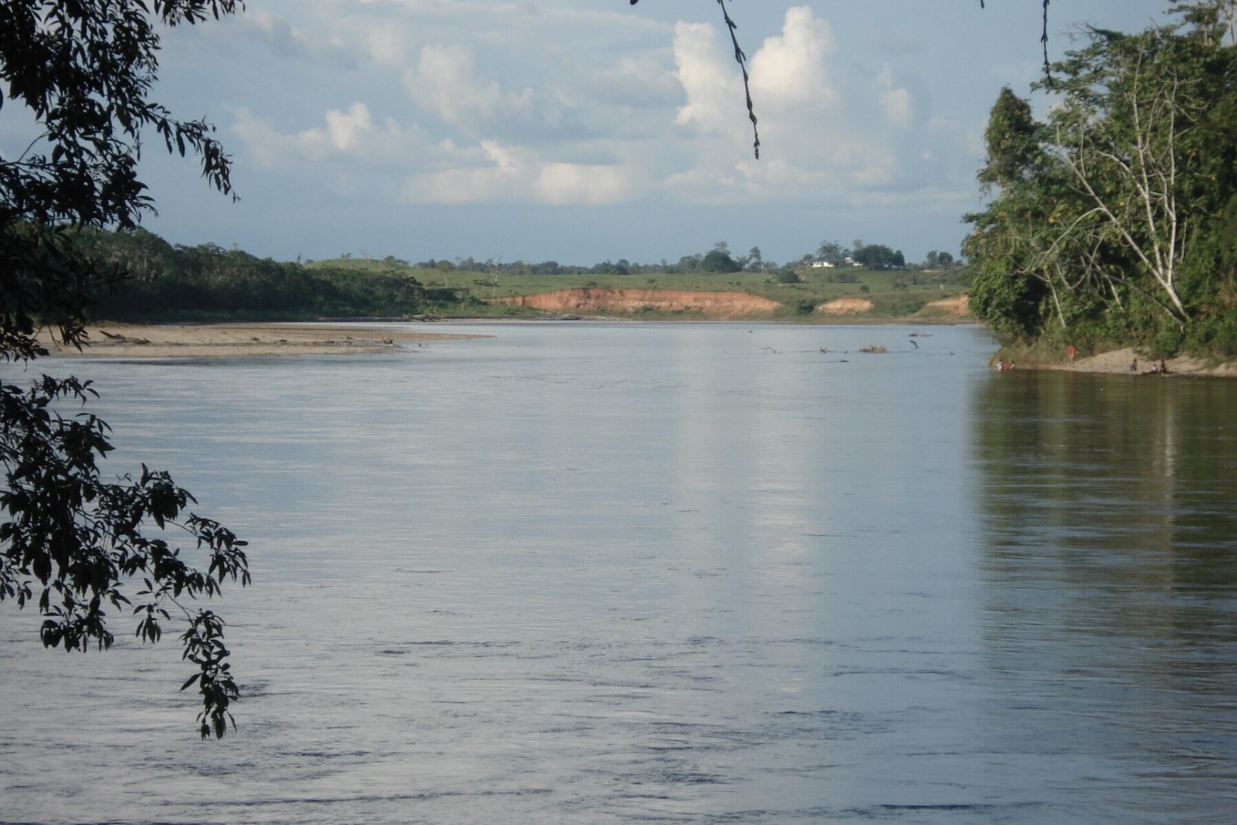 Putumayo River with forested banks at Puerto Asís, Colombia