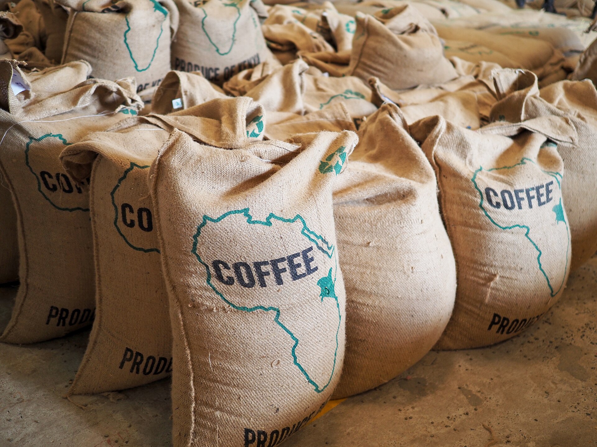 Rows of jute coffee sacks printed with the word COFFEE and an outline map of Africa