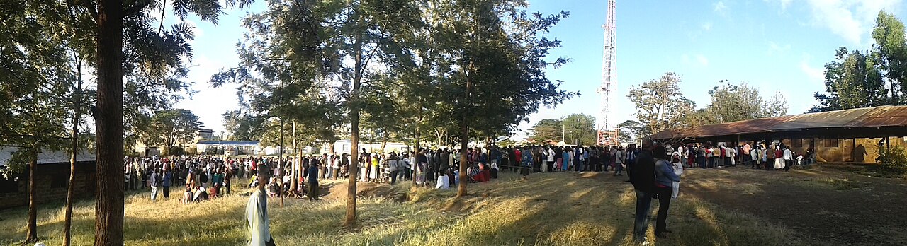 A long line of voters waits across a grassy field under trees beside a low building with a corrugated iron roof at a polling centre in Kenya