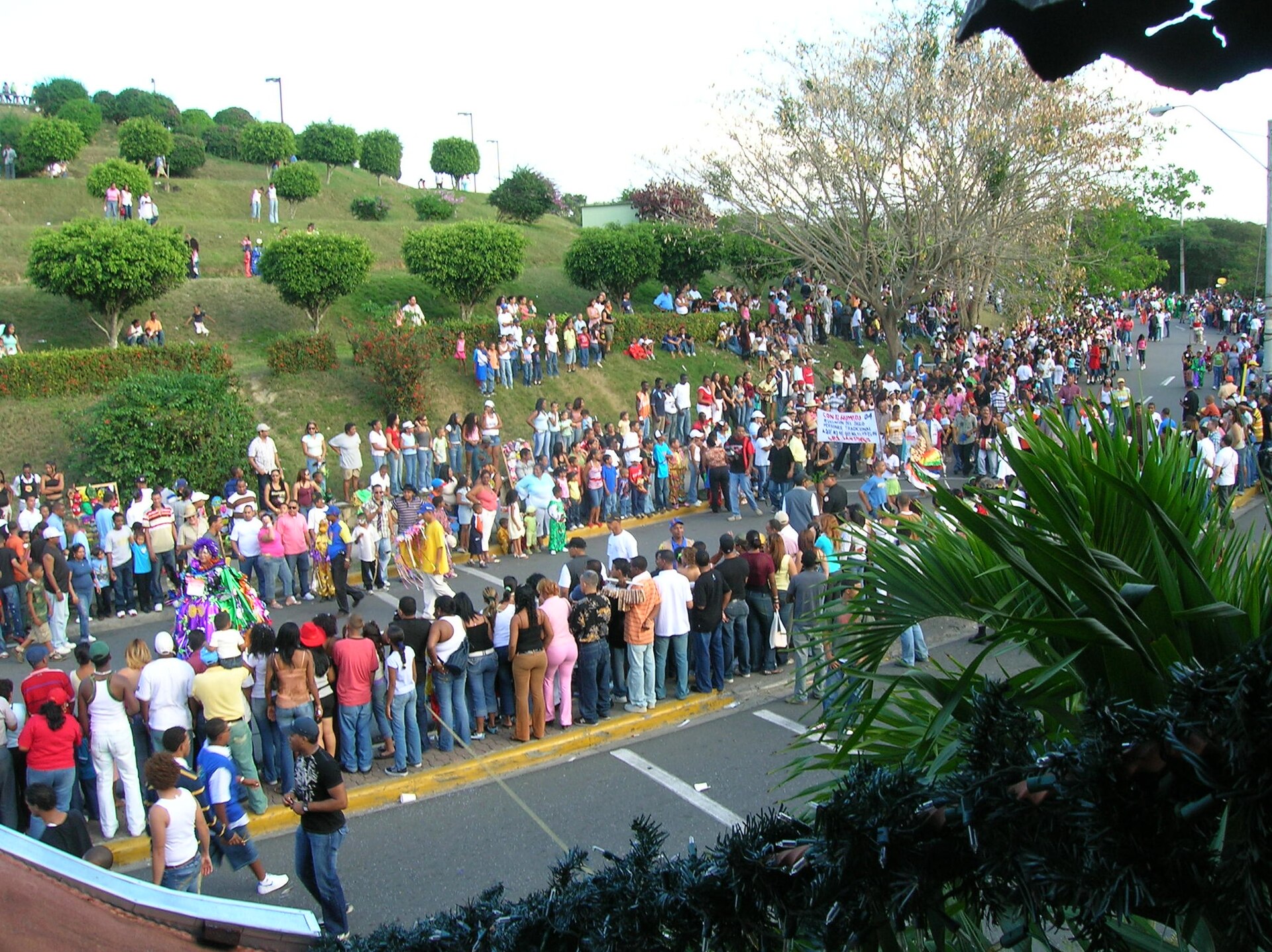 Large crowds of spectators line both sides of a wide avenue to watch a carnival procession, with a grassy embankment, trees and palm fronds around them