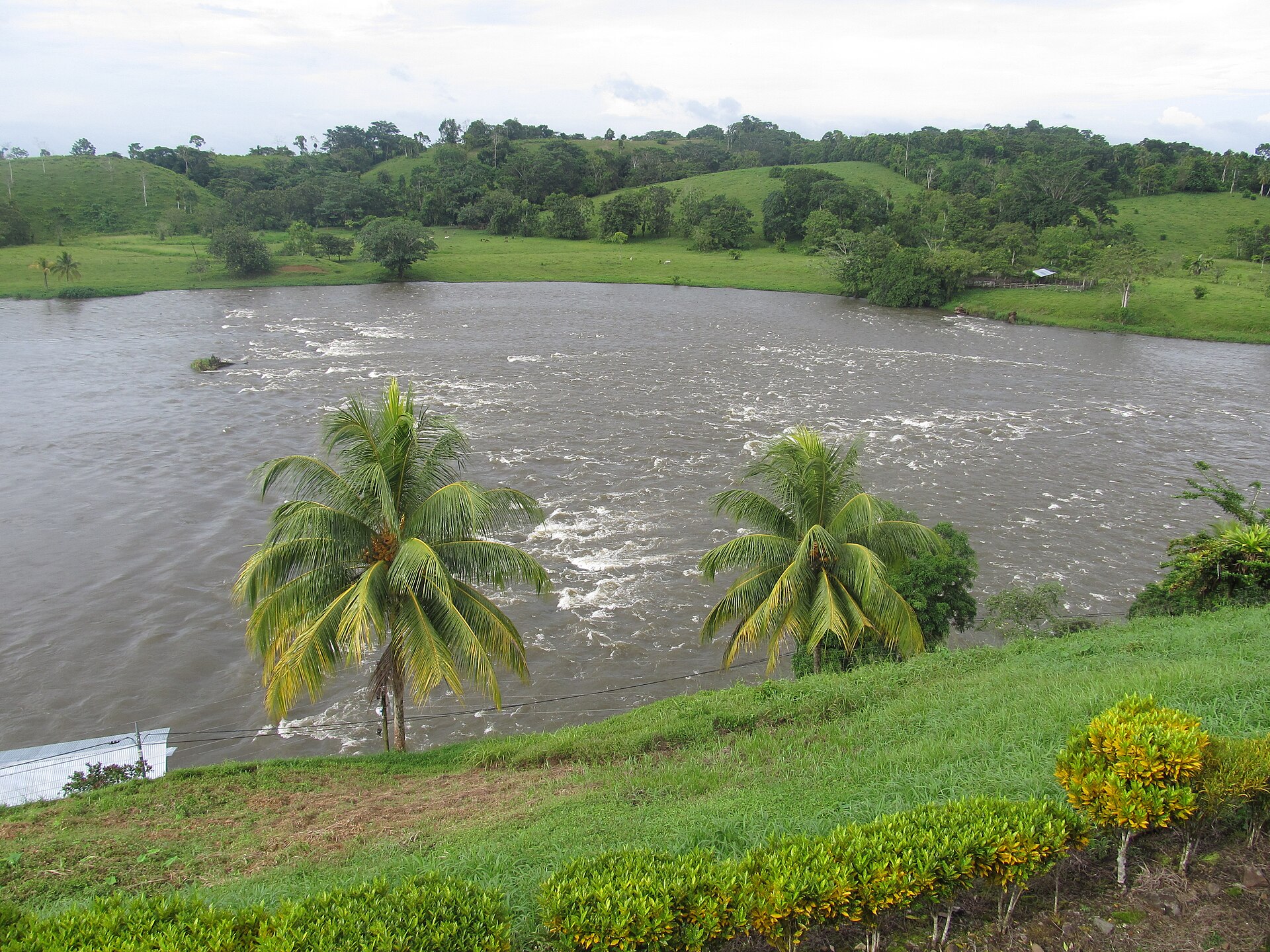 A wide brown river with white-water rapids between green banks, two palm trees and clipped shrubs in the foreground and grassy hills on the far side under a pale sky
