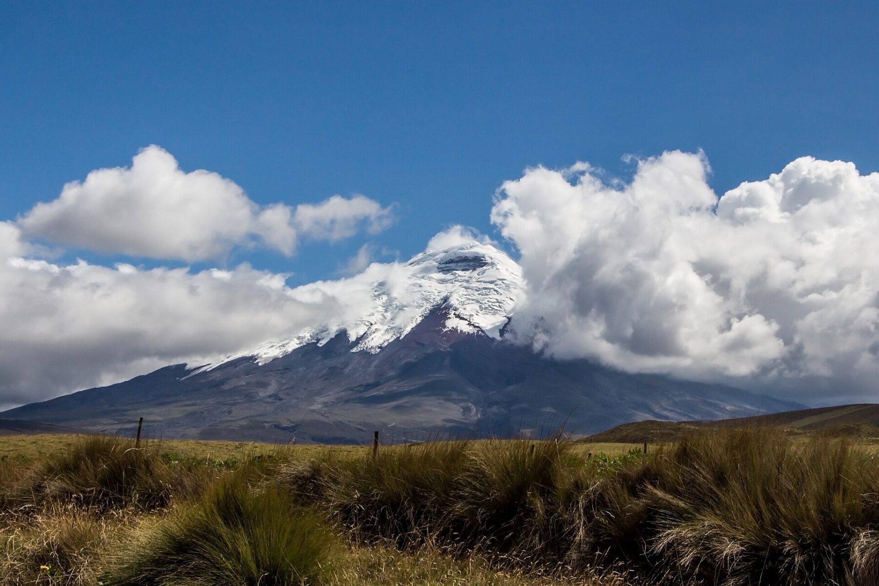 The snow-capped Cotopaxi volcano under heavy cloud above Andean grassland in Ecuador