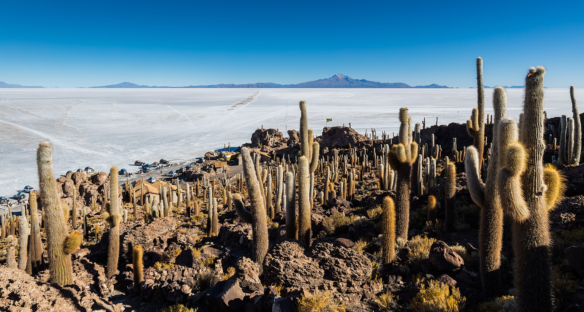 Tall cacti cover a rocky island above a vast white salt flat that stretches to distant mountains under a deep blue sky