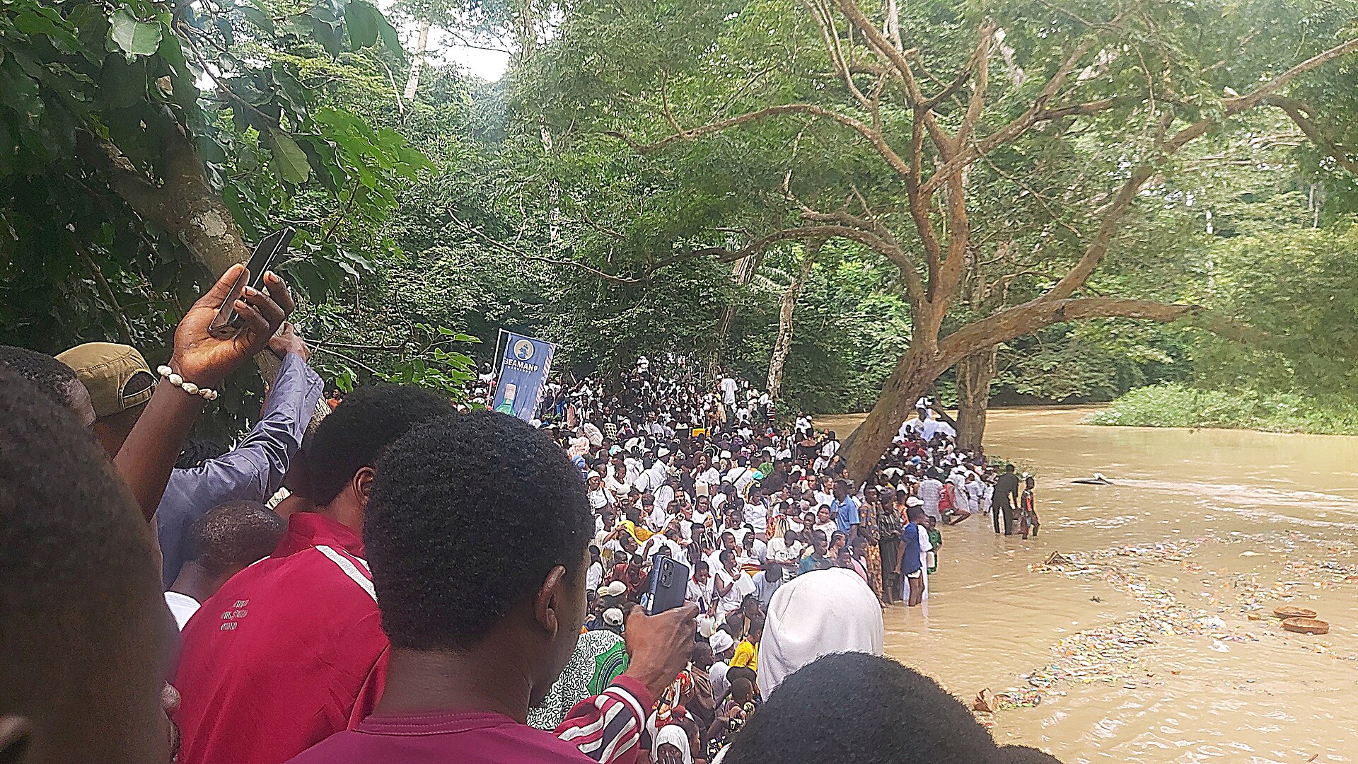 A dense crowd stands on the bank of a brown river beneath large forest trees, with many people holding up phones in the foreground