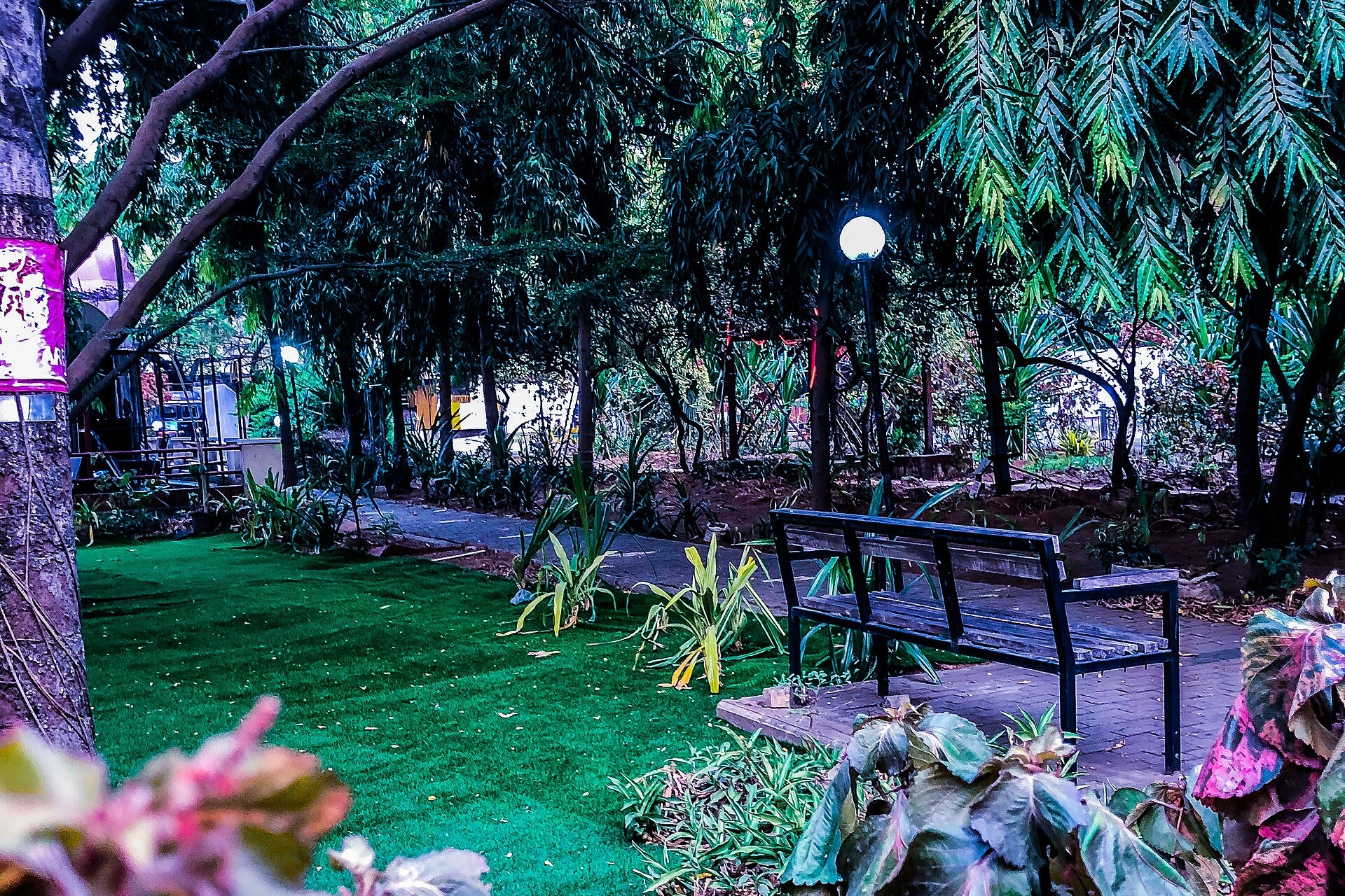 A lawn, a black metal bench, a lamp and tall trees in the gardens of Freedom Park on Lagos Island at dusk, with colourful leaves in the foreground