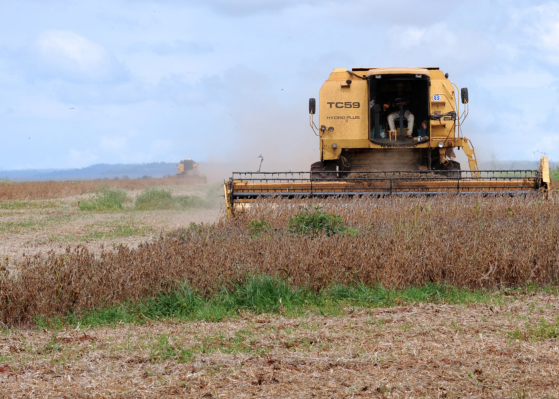 A yellow combine harvester cuts a field of dry brown soybean plants under a cloudy sky, with a second harvester in the distance