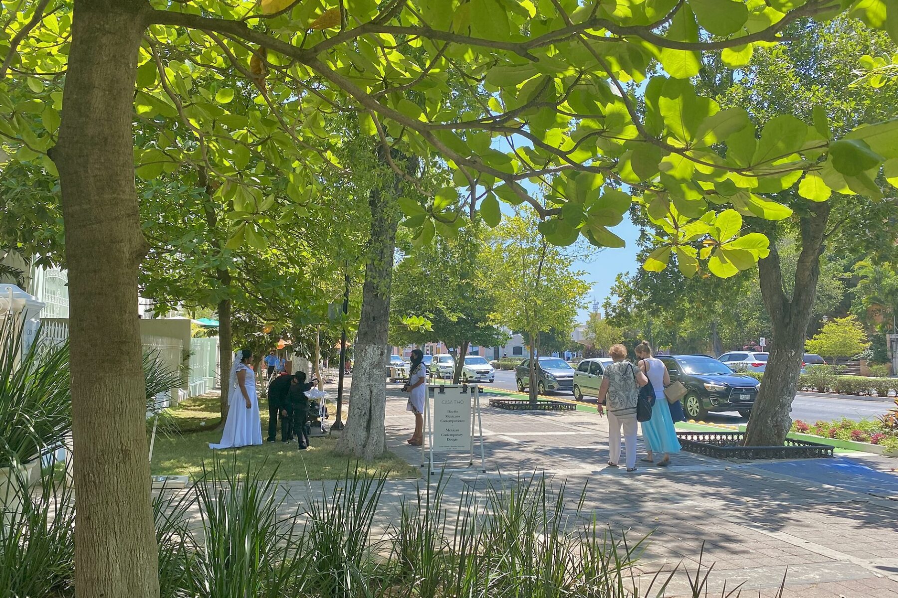 Tree-shaded pavement on Paseo de Montejo in Mérida with pedestrians and a bride in a white dress