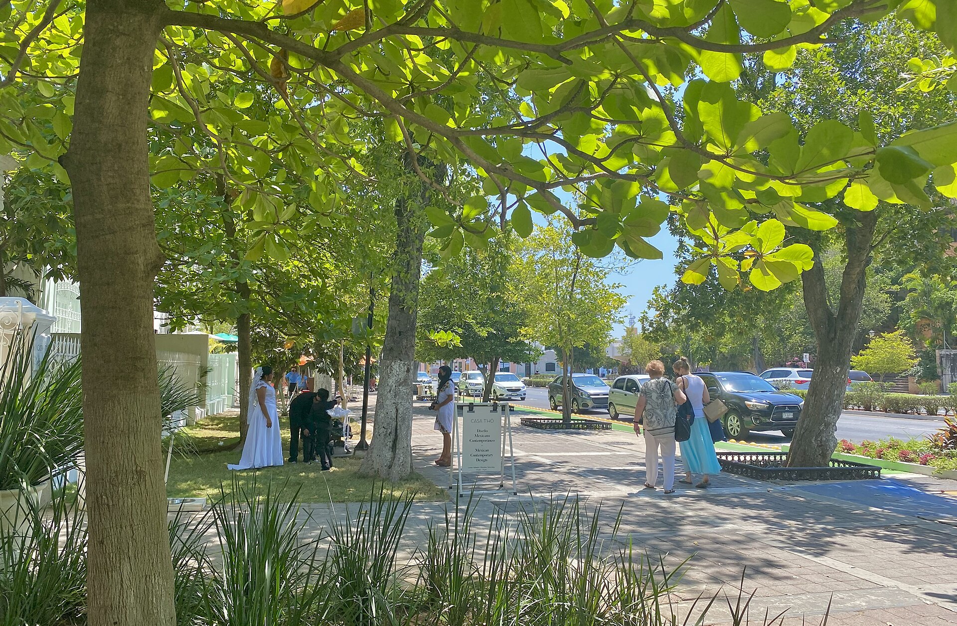 Tree-shaded pavement on Paseo de Montejo in Mérida with pedestrians and a bride in a white dress
