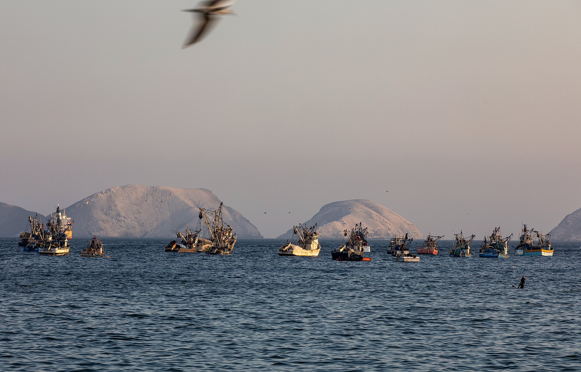 Purse-seine fishing boats anchored in a calm bay with rocky islands behind