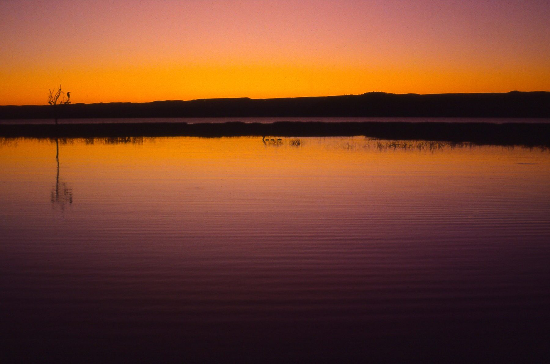 Lake Baringo in Kenya's Rift Valley under an orange sky, calm water and a low ridge on the horizon