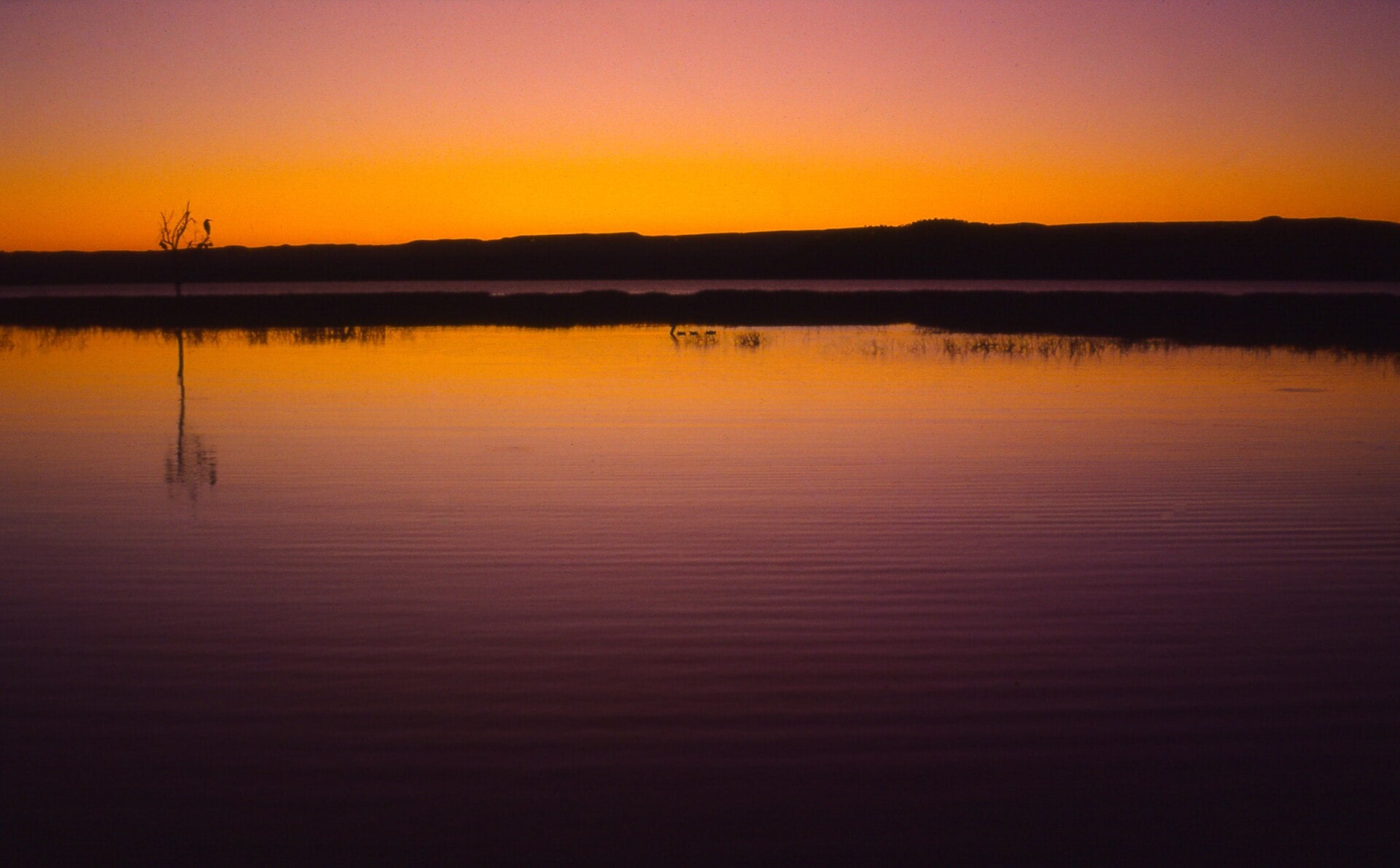 Lake Baringo in Kenya's Rift Valley under an orange sky, calm water and a low ridge on the horizon