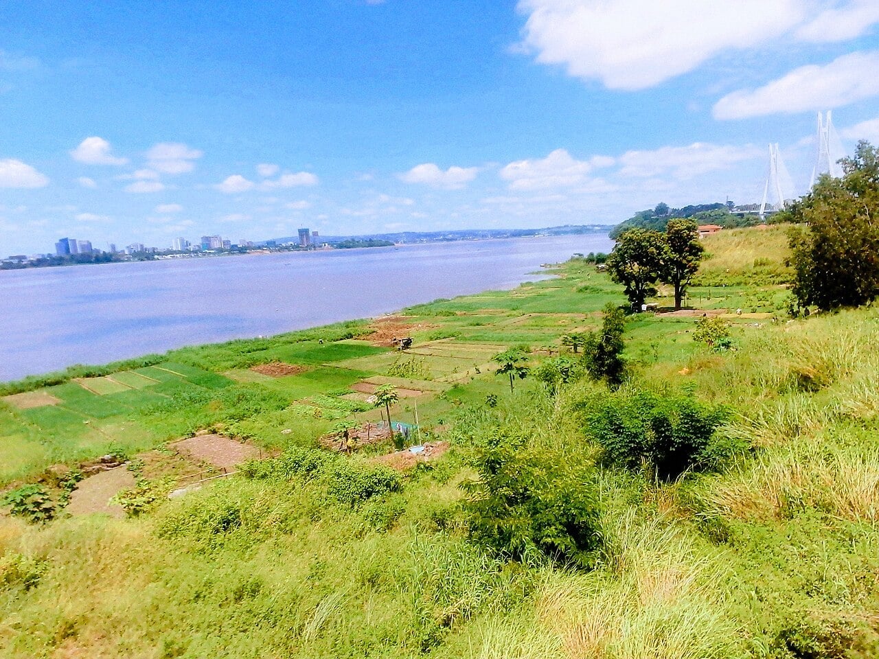 Vegetable plots on the bank of the Congo River in Brazzaville, with the wide river and a city skyline in the background