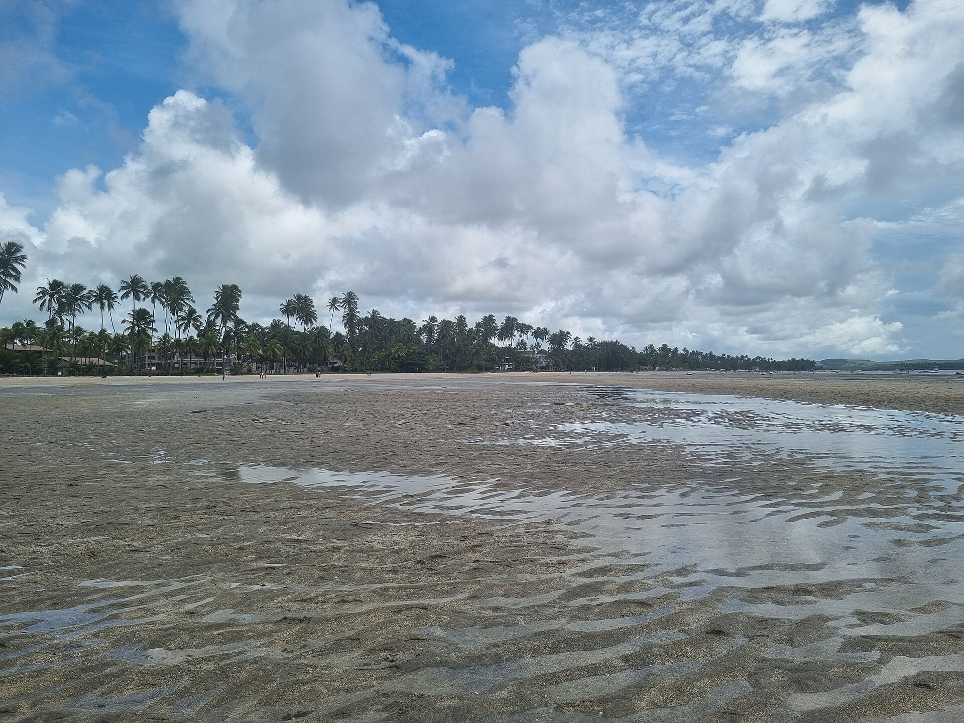 Wet sand and shallow pools at low tide on Praia dos Carneiros, with a line of coconut palms along the shore