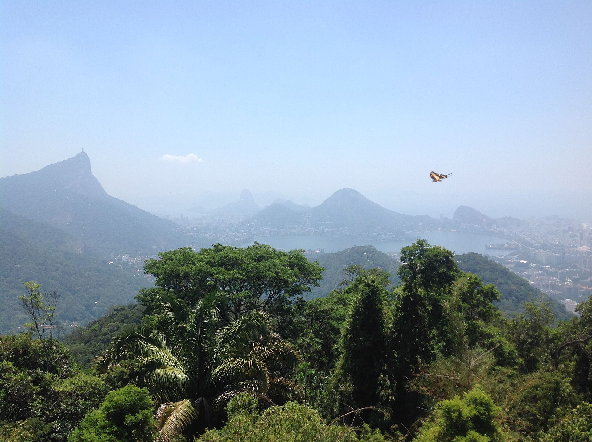 View over the Tijuca forest from Vista Chinesa toward Rodrigo de Freitas Lagoon and Corcovado in Rio de Janeiro